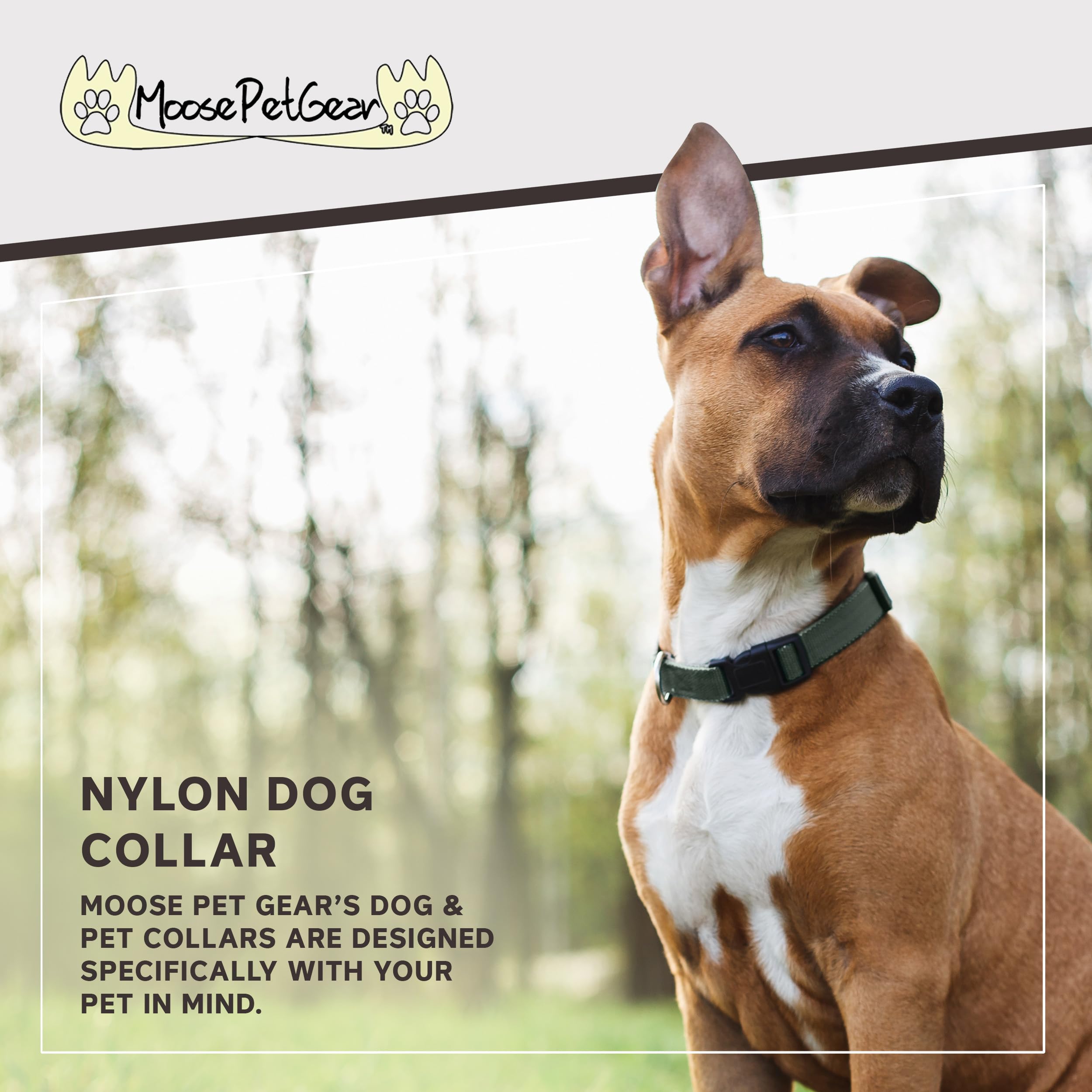Moose Pet Wear Classic Dog Collar – Adjustable Pet Collars, 1 Inch Wide, Large, Forest Green