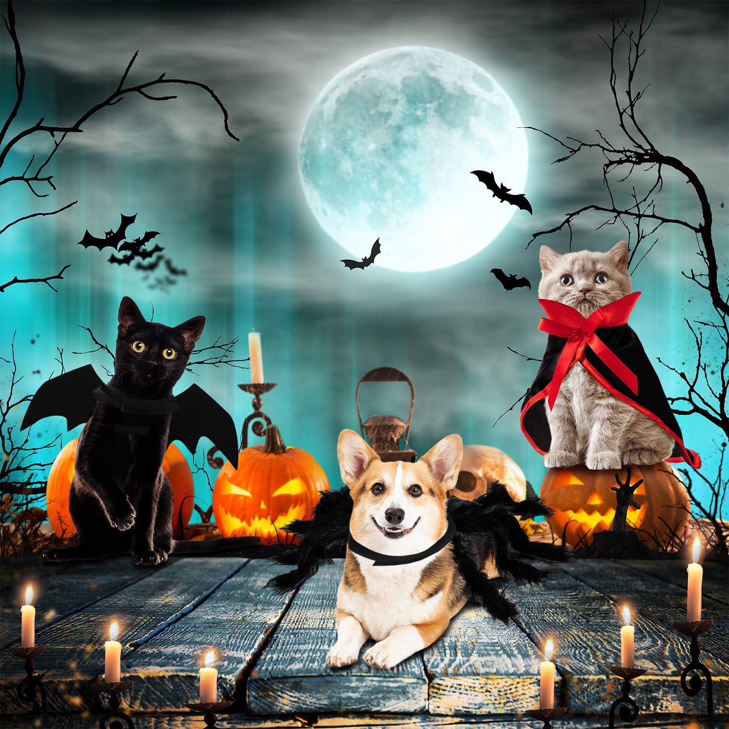 3 Piece Halloween Cat Dog Costume Set, Pet Bat Witch Vampire Cloak Giant Imitation Pet Spider Pets Costume Cosplay Accessories Halloween Pets Decoration For Dogs Puppy Cats (Red, S)