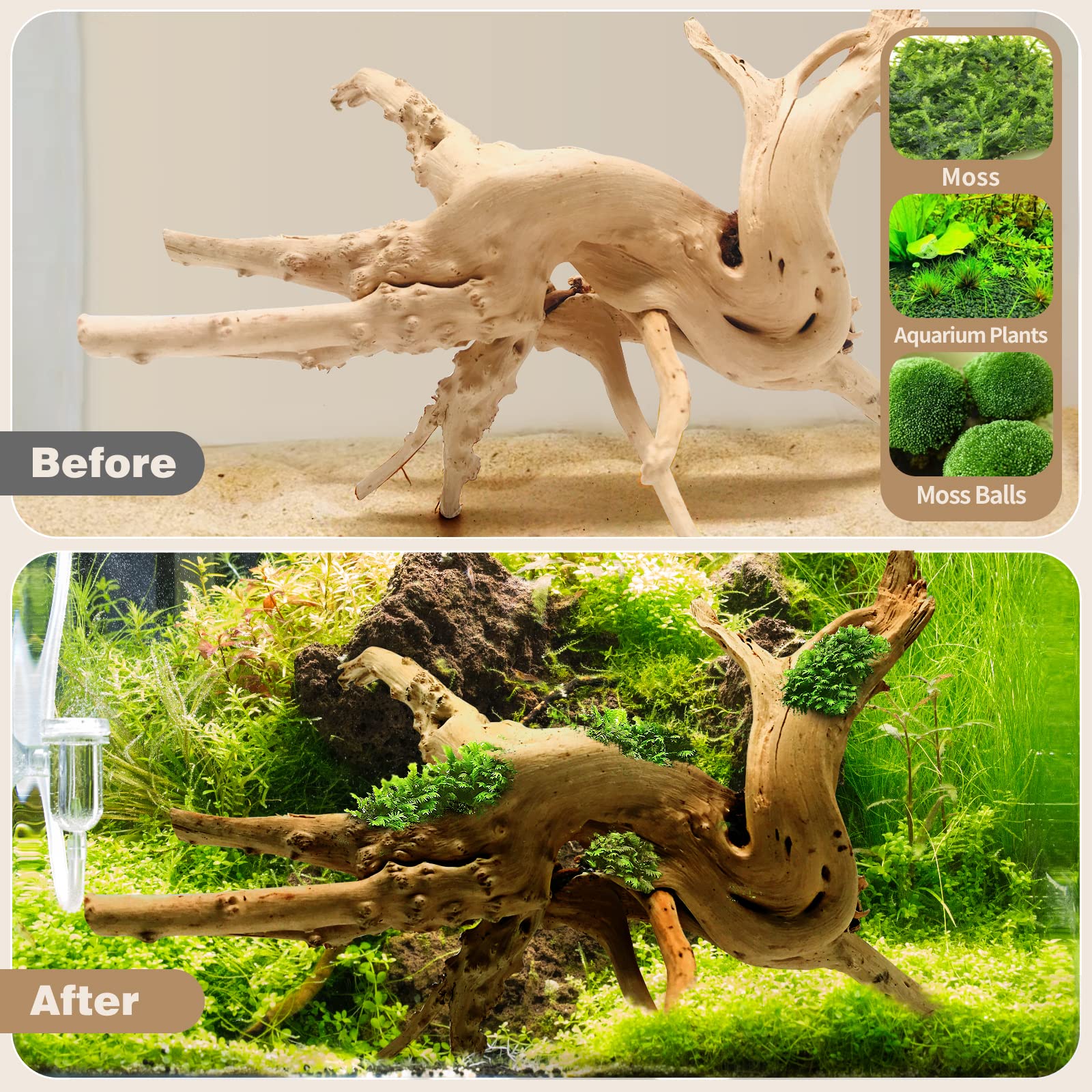 Wdefun Driftwood For Aquarium Decor 7-11 Inch Length Large Spider Wood Ornament Natural Branches For Fish Tank Decorations 3 Pcs