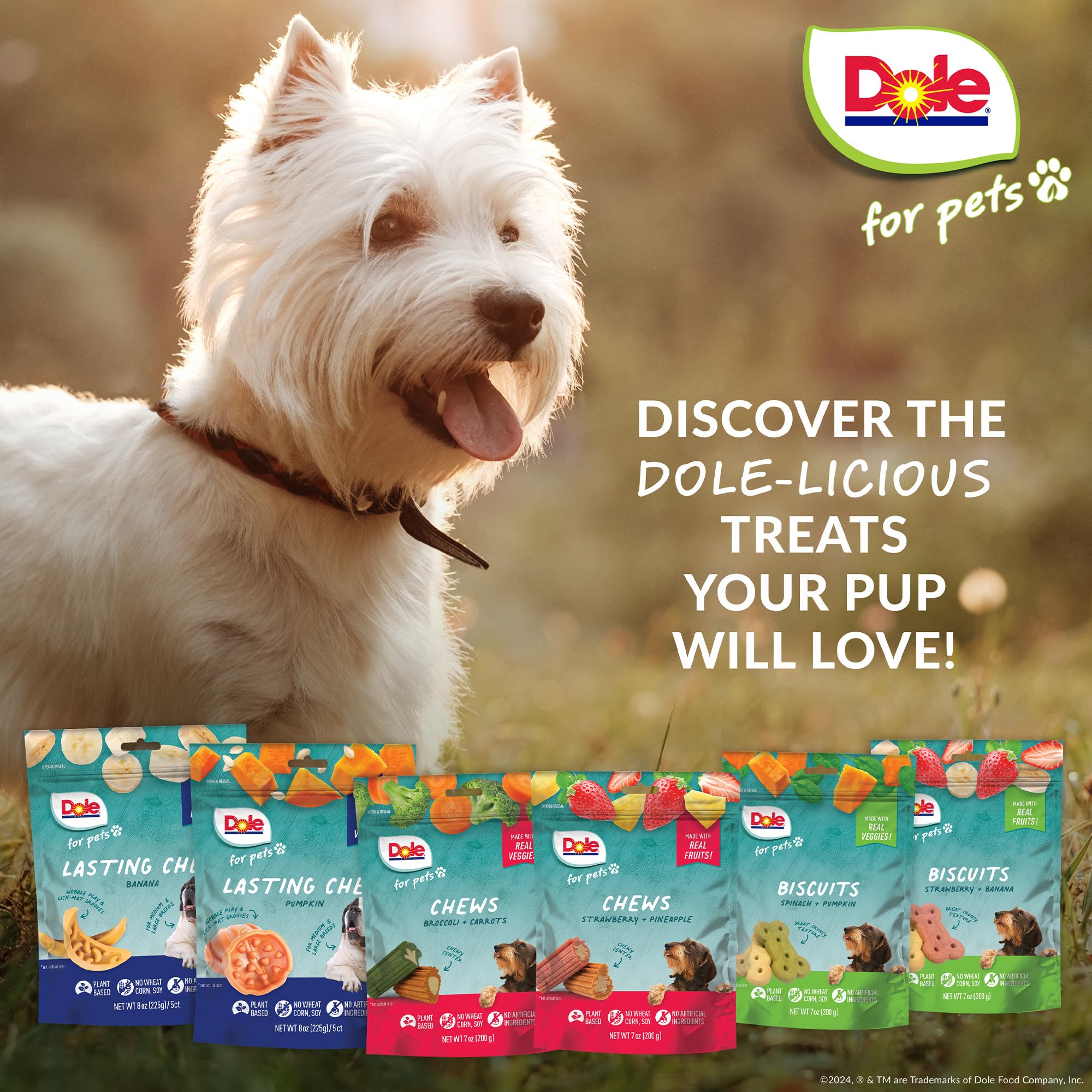 Dole for Pets Freshly Fetched Lasting Chew, Pumpkin Flavor Dog Treats, 8oz, 5ct | Flavored with Real Veggies, No Wheat, Corn, So