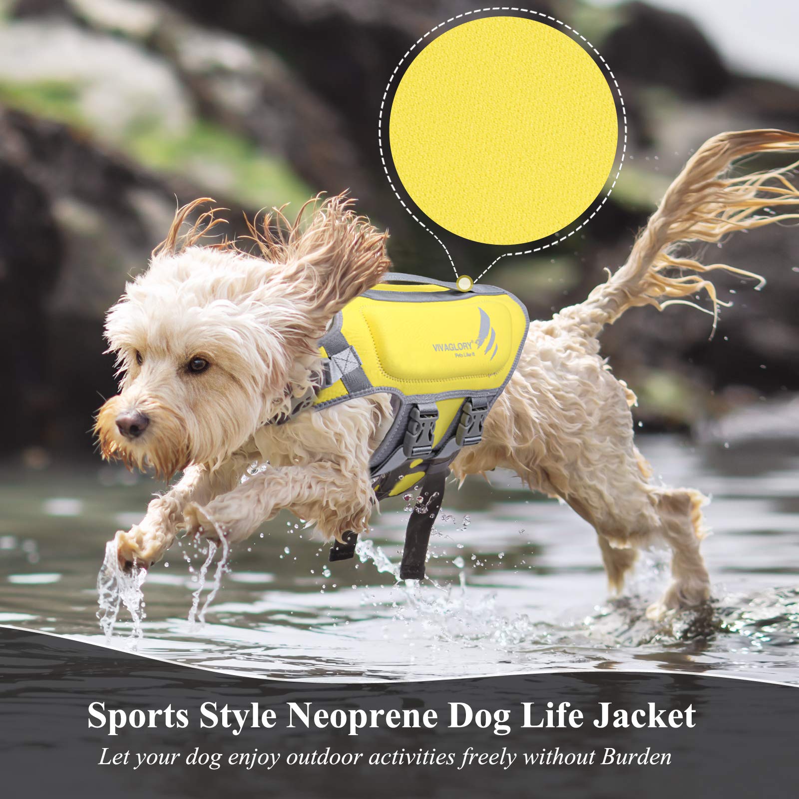 Vivaglory Lightweight Dog Life Jacket, Pet Life Preserver Life Vest Skin-Friendly Neoprene For Medium Dogs With D-Ring And Quick