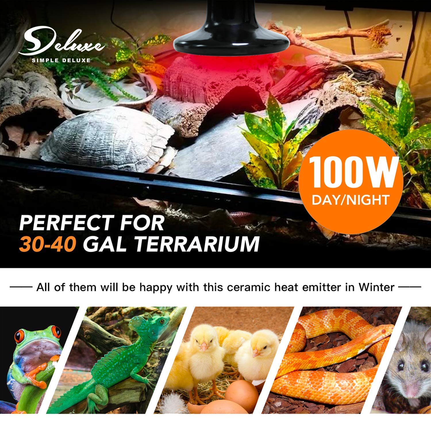 Simple Deluxe 100W Ceramic Reptile Heat Lamp Bulb No Light Emitting Brooder Coop Heater & Digital Heat Mat Thermostat Controller Combo For Amphibian Pet & Incubating Chicken, Black