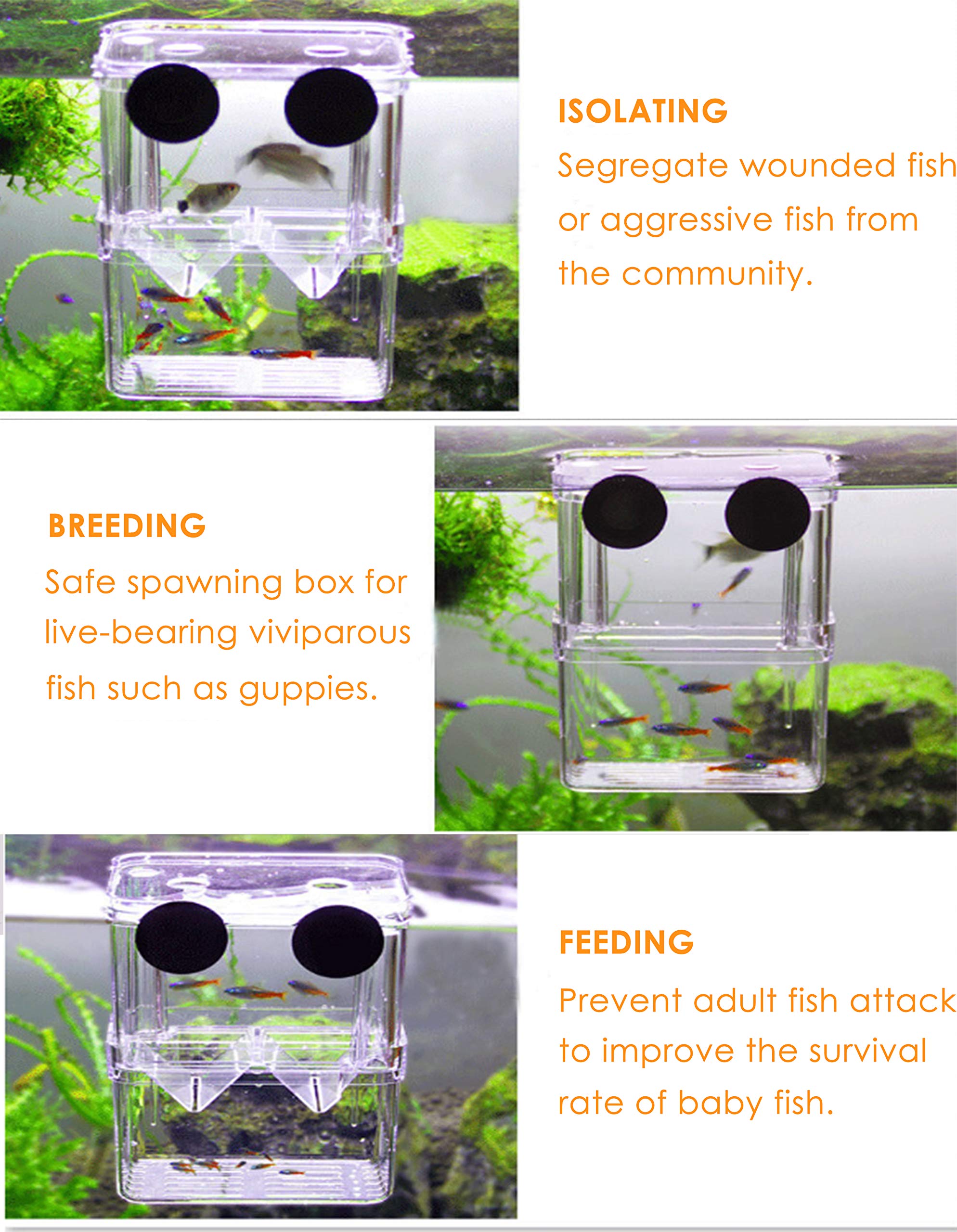 Tiberham Acrylic Floating Fish Hatchery Isolation Box, Double Layer Fry Hatching Incubator Breeding Rearing Trap, Aquarium Tank