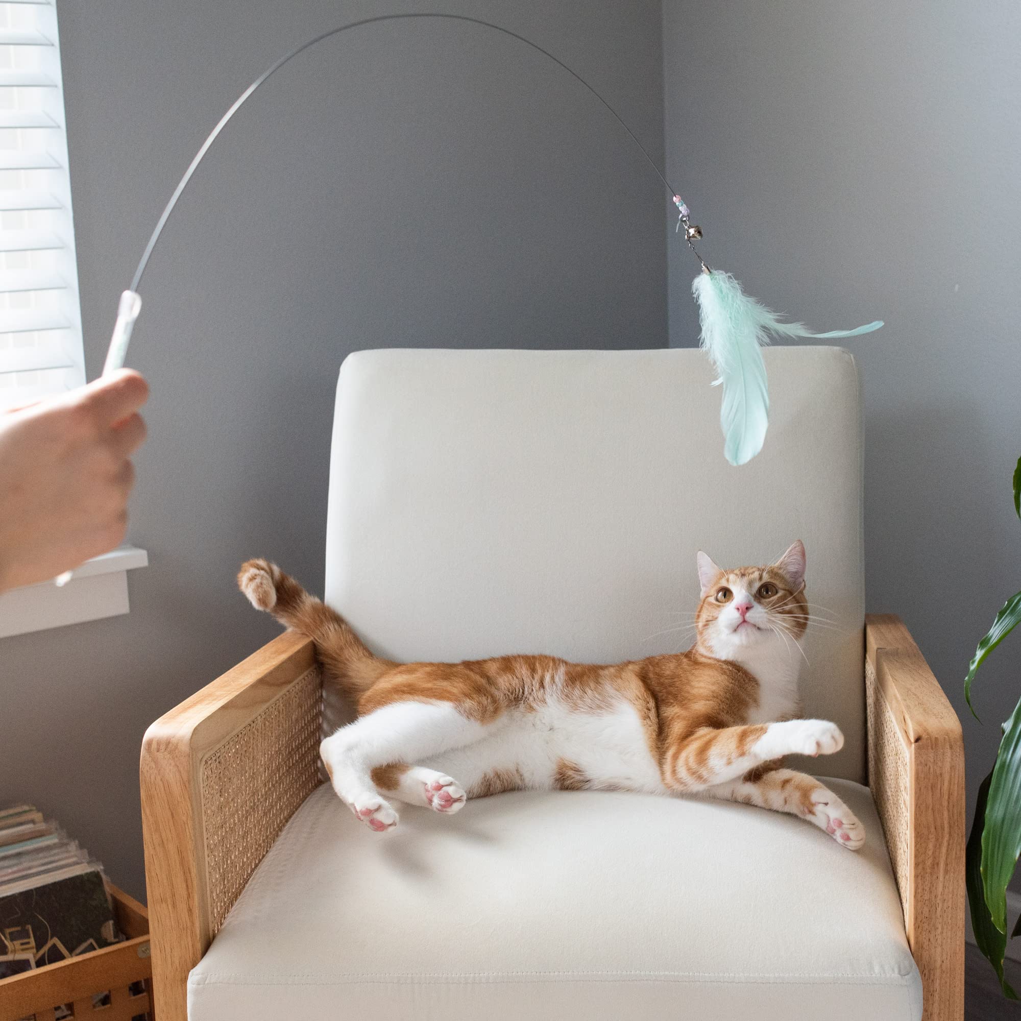 Furhaven 2-Pack Teaser Cat Wand Toy Set For Indoor Cats, Interactive Play & Exercise - Dizzy Kitty Feather Wand - Pastel (Lavend