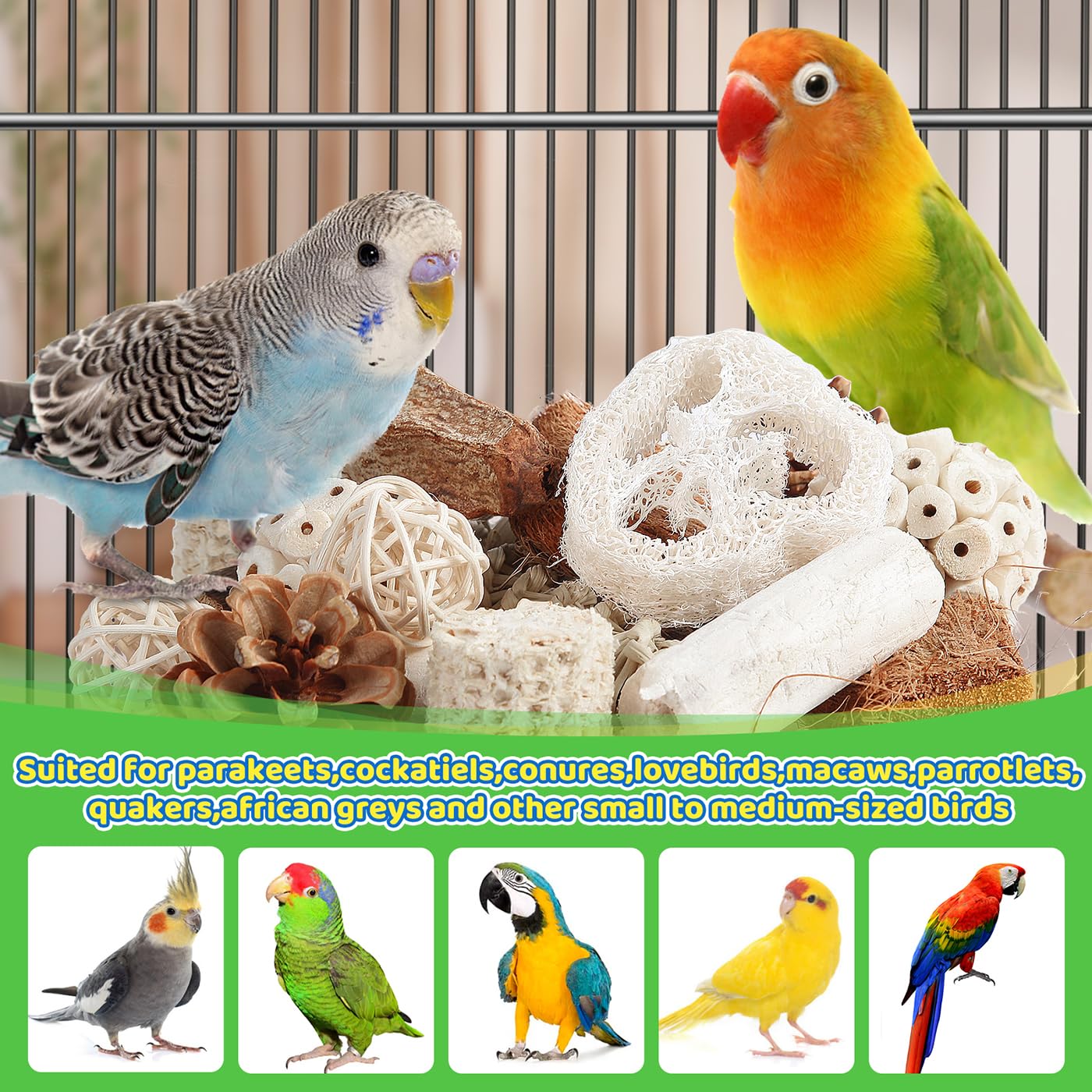 Kyouki Bird Toys Parrot Toys Natural Bird Foraging Box Foot For Parakeets,Cockatiels,Conures,Love Birds,And Other Small To Mediu