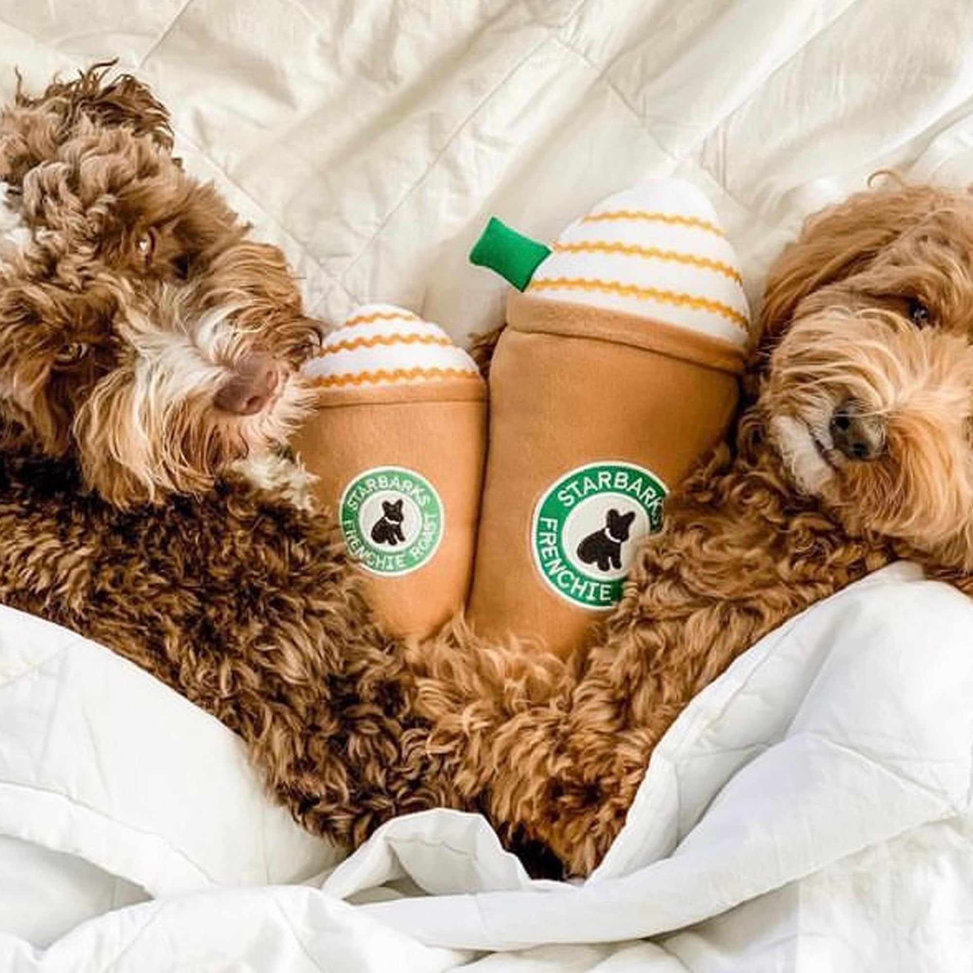 Haute Diggity Dog Starbarks Frappawcino, Plush Designer Dog Toys With Interactive Squeaker, Stimulating Pet Enrichment, Machine-Washable & Safe Materials For All Breeds, Size Medium