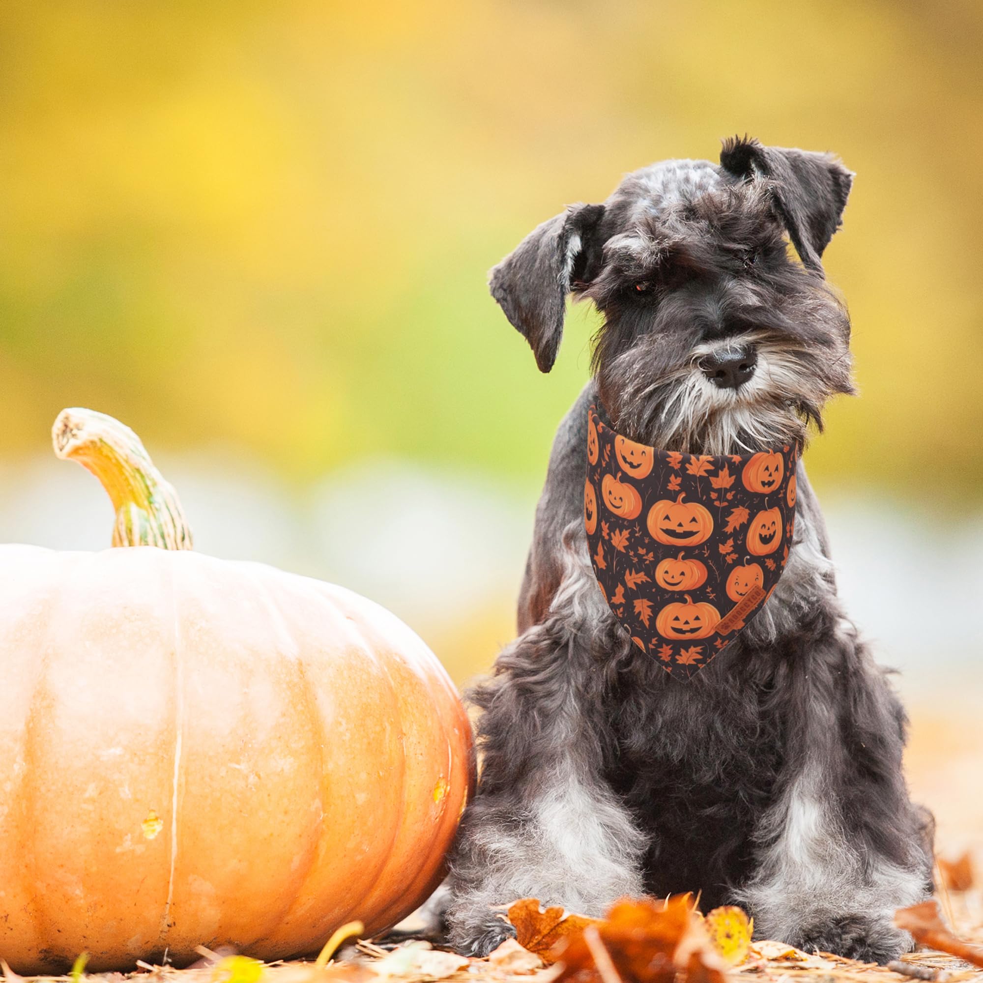 Adoggygo Halloween Dog Bandana, Pumpkin Ghost Pet Scarf, Orange Black Halloween Bandanas For Small Dogs Puppies (Small)