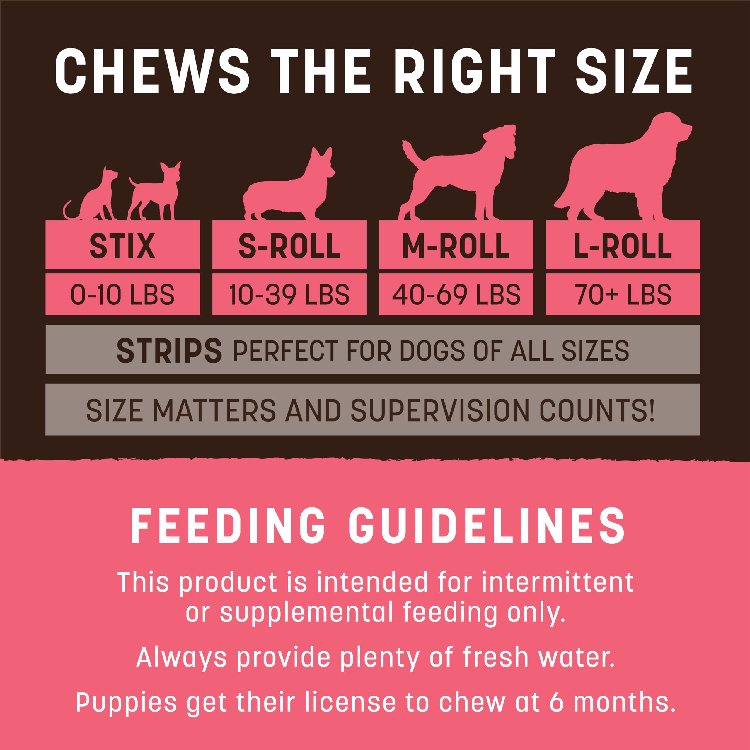 Earth Animal No Hide Salmon Dog Chews, Rawhide Free, Long Lasting, 2 Count (Pack of 3), Ideal for Large Aggressive Chewers