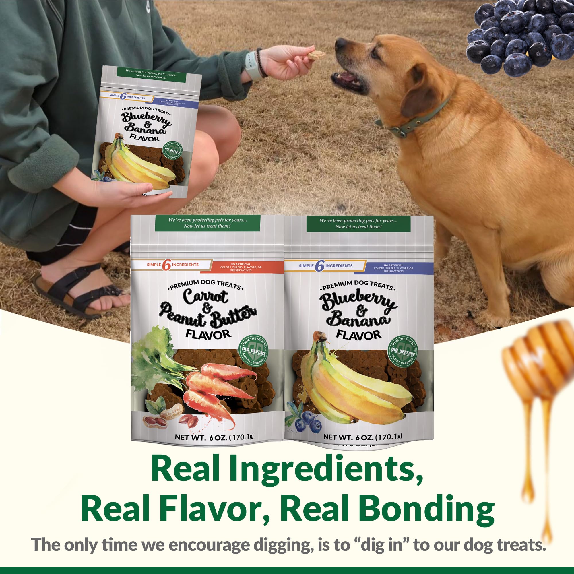 Dig Defence Premium Dog Treats - Carrot/Peanut Butter and Blueberry/Banana, Natural Ingredients, Baked Gourmet Snacks for Small