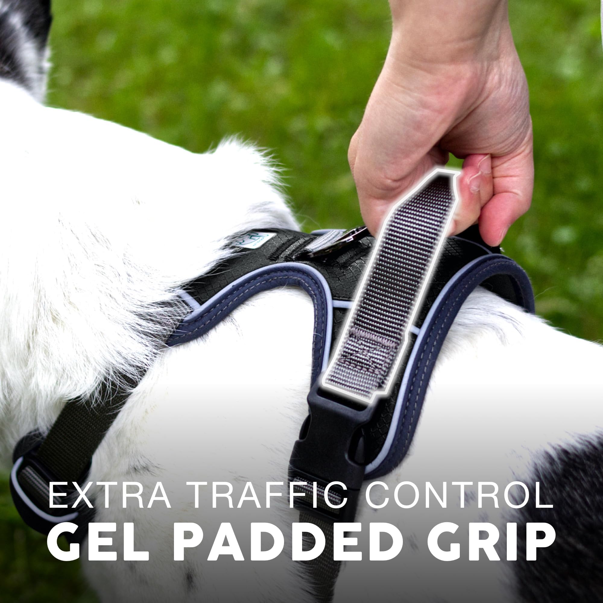 Embark Adventure Dog Harness, No Pull Dog Harness With 2 Leash Clips, Dog Harness For Medium Dogs No Pull. Front & Back With Control Handle, Adjustable Black Dog Vest, Soft & Padded For Comfort