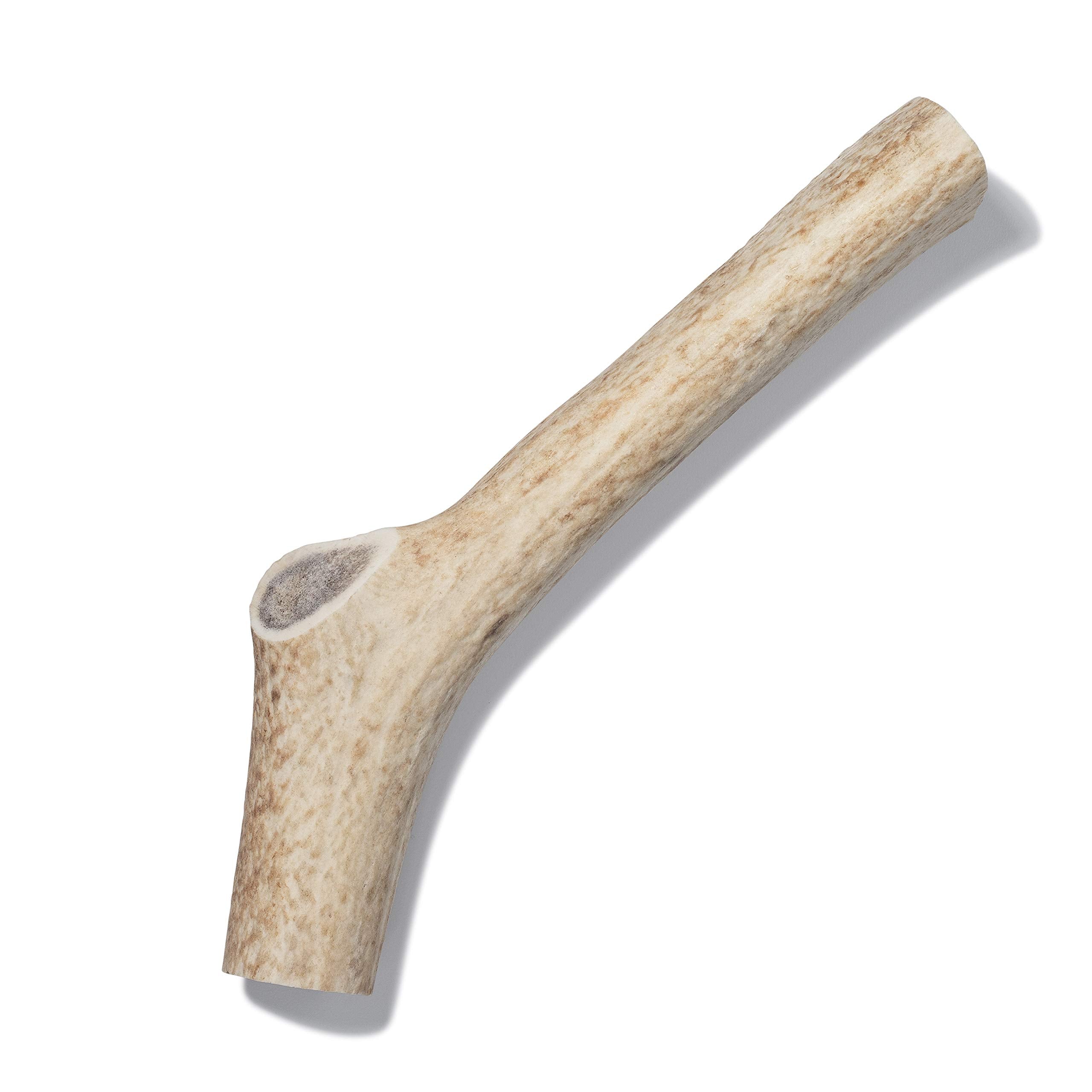 Antler Dog Chew From Pet Expertise, Gigantic 12-14'' Long, 1 Piece