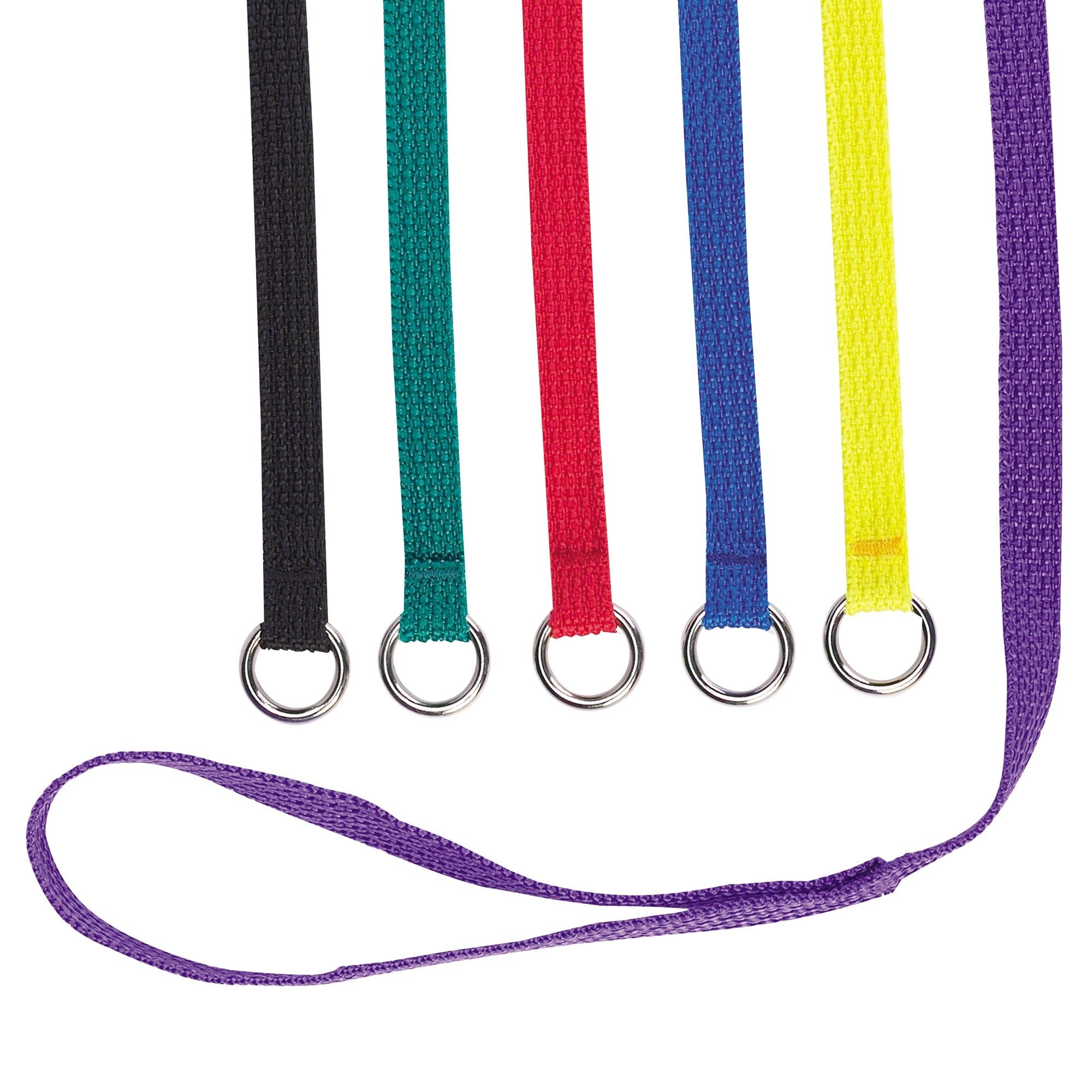 Guardian Gear Nylon Kennel Leads for Dogs, 4 Long x  Wide, 6-Pack, Multicolor