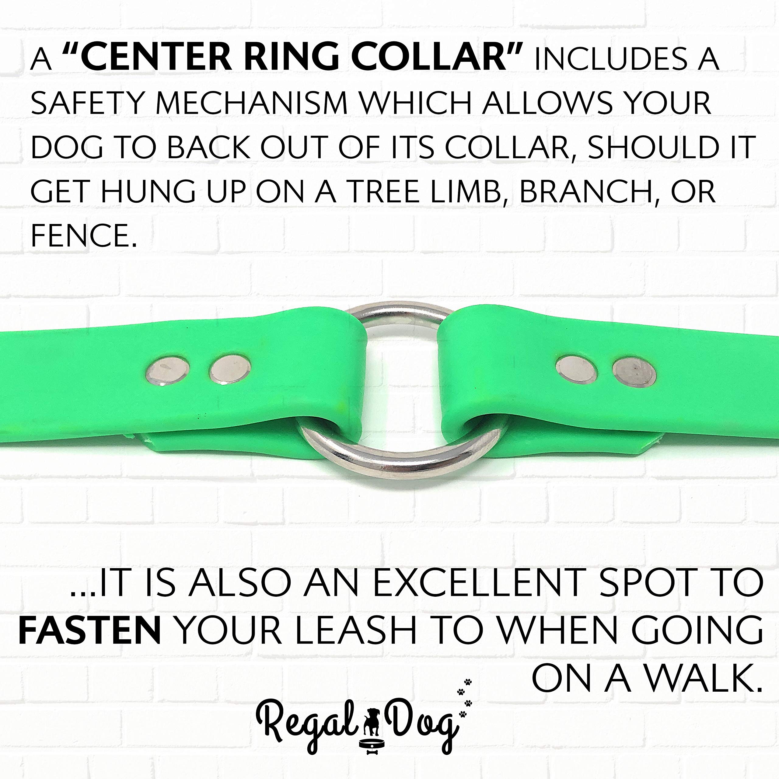 Regal Dog Products Large Light Green Waterproof Dog Collar With Heavy Duty Double Buckle & D Ring | Vinyl Coated, Custom Fit, Adjustable Biothane Dog Collar | Chew Resistant Waterproof Collar For Dogs