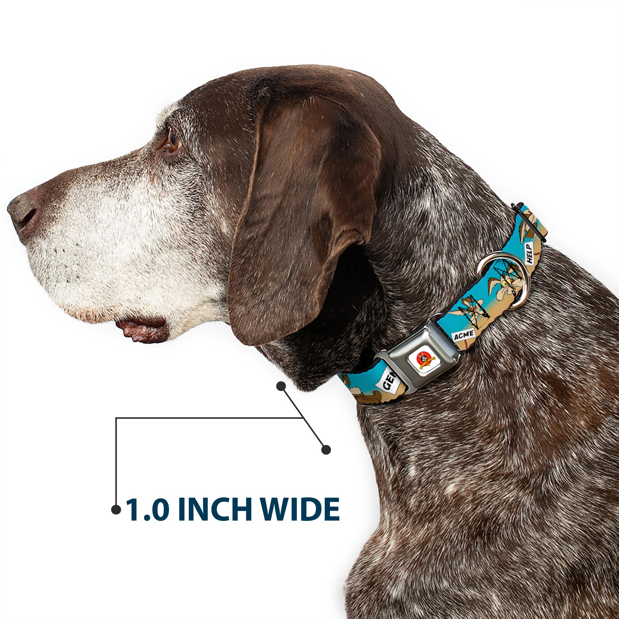 Buckle-Down Seatbelt Buckle Dog Collar - Wile E. Coyote Expressions/Signs Desert - 1.5' Wide - Fits 18-32' Neck - Large