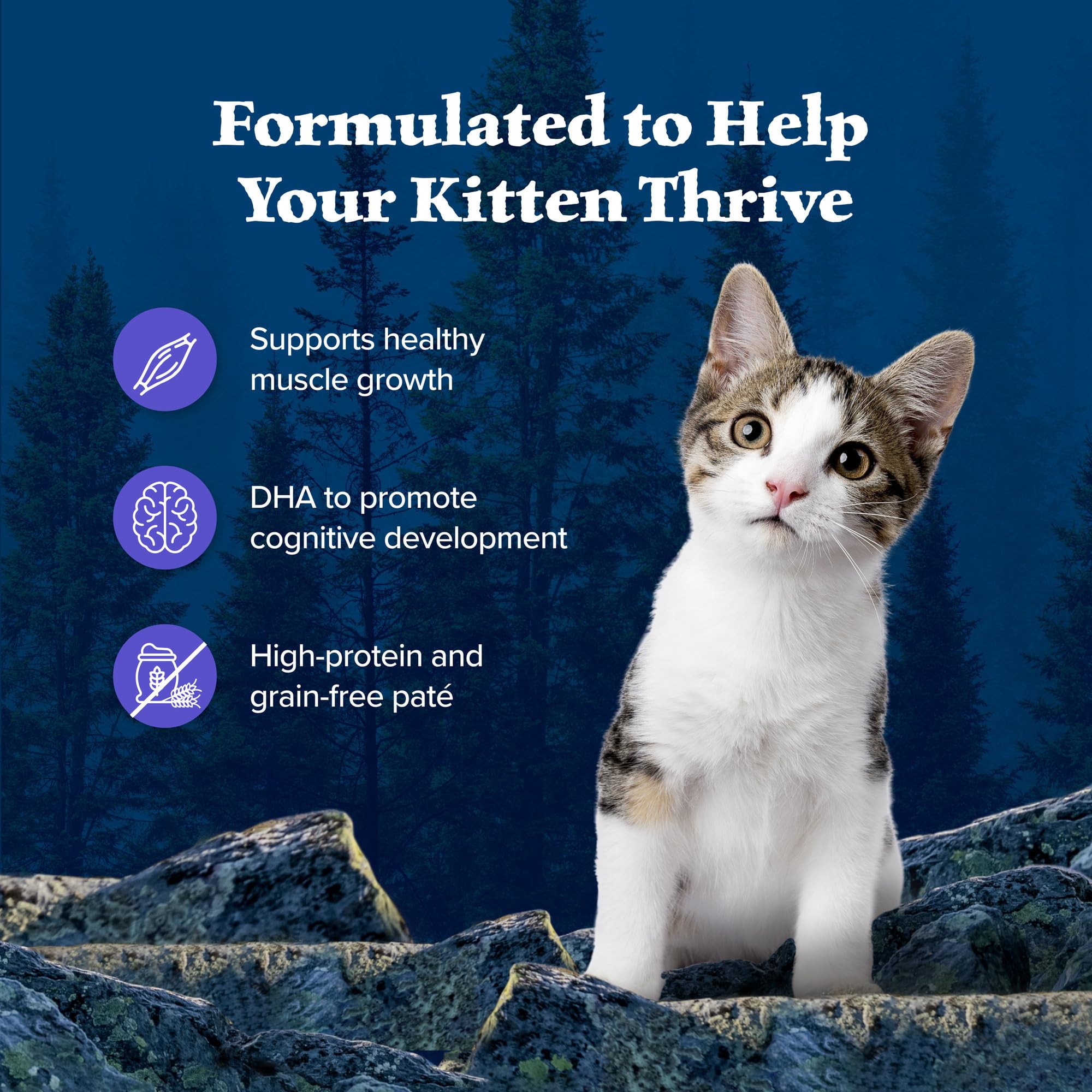 Blue Buffalo Wilderness High-Protein Grain-Free Wet Kitten Food, Chicken Pat   Recipe, 3-oz Cans, 24-Count