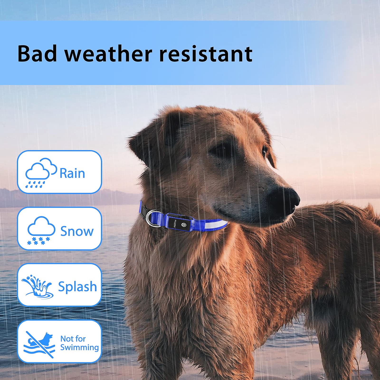 Pceotllar Light Up Dog Collar For Night Walking - Led Dog Collar Light Rechargeable Color Changing, Glow In The Dark Dog Collars