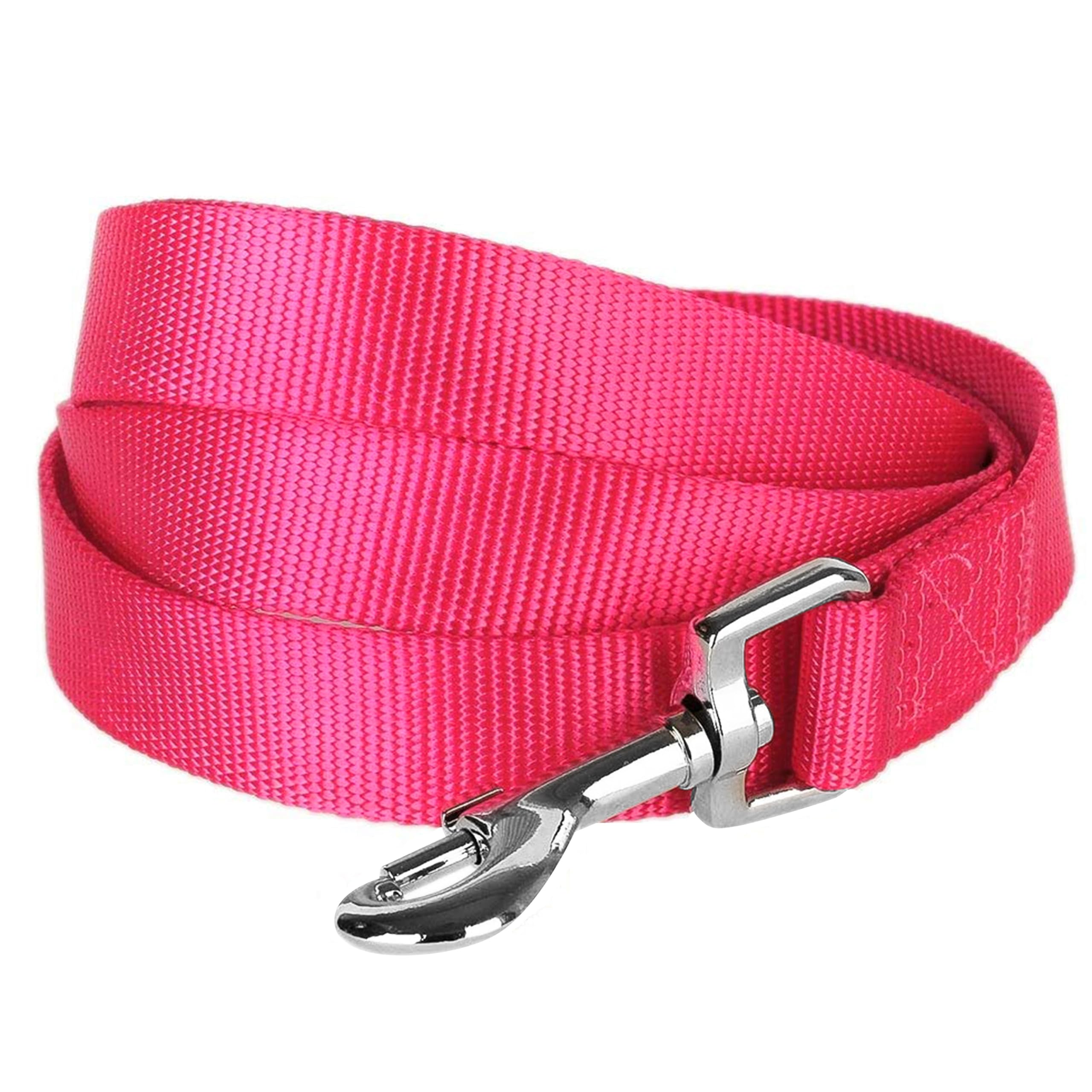 Blueberry Pet Essentials 19 Colors Durable Classic Dog Leash 5 Ft X 3/8'', French Pink, X-Small, Basic Nylon Leashes For Puppies