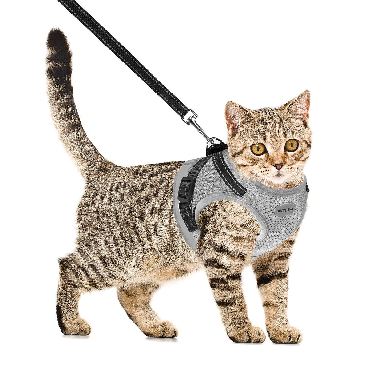 Cat Harness And Leash For Walking, Kitten Escape Proof Harnesses, Adjustable Reflective Puppy Harness With Leashes Set, Easy Adjustable Soft Net Breathable Pet Safety Vest M (Chest: 12' - 14') Grey