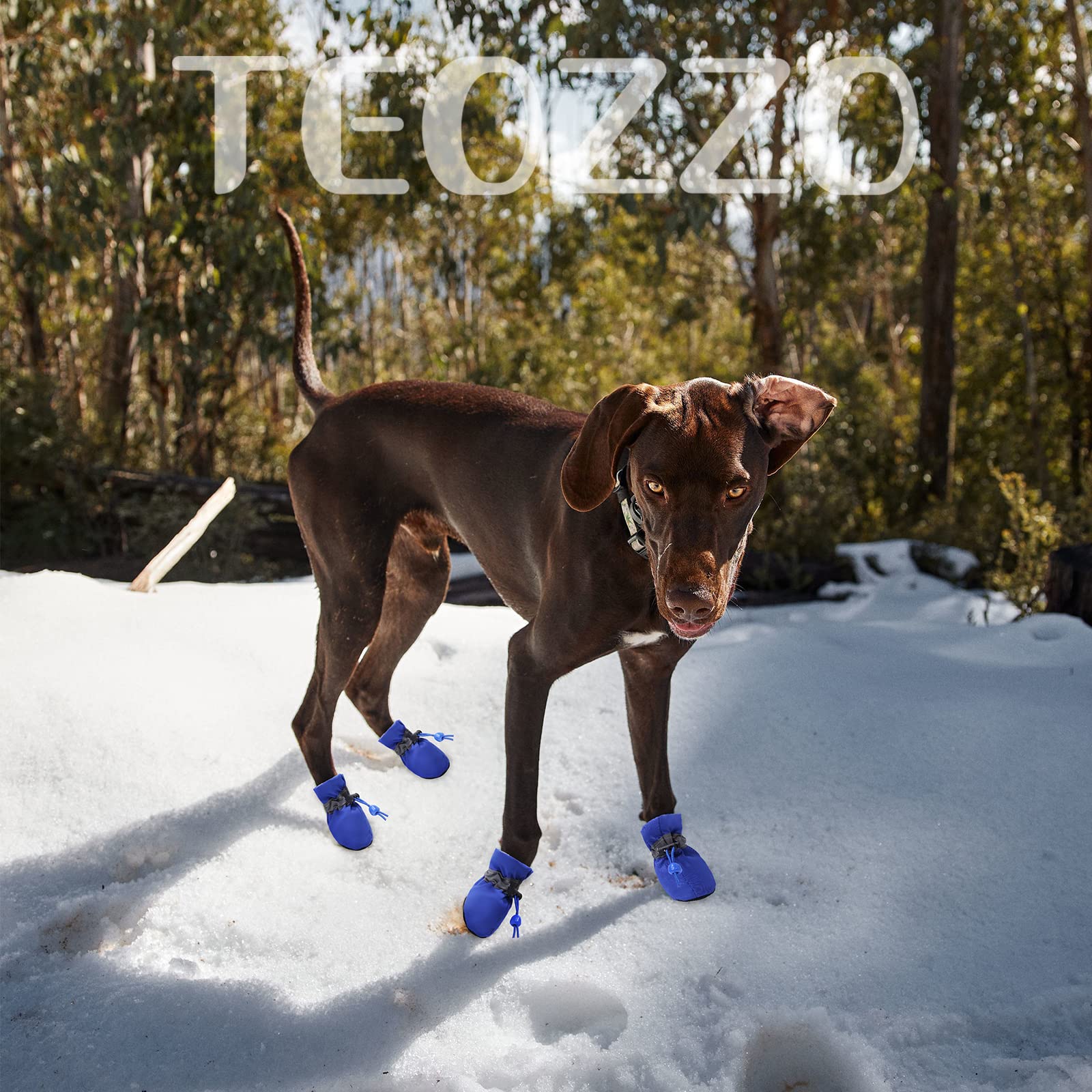 Teozzo Dog Boots & Paw Protector, Anti-Slip Sole Winter Snow Dog Booties With Reflective Straps Dog Shoes For Small Medium Dogs 4Pcs Blue 7