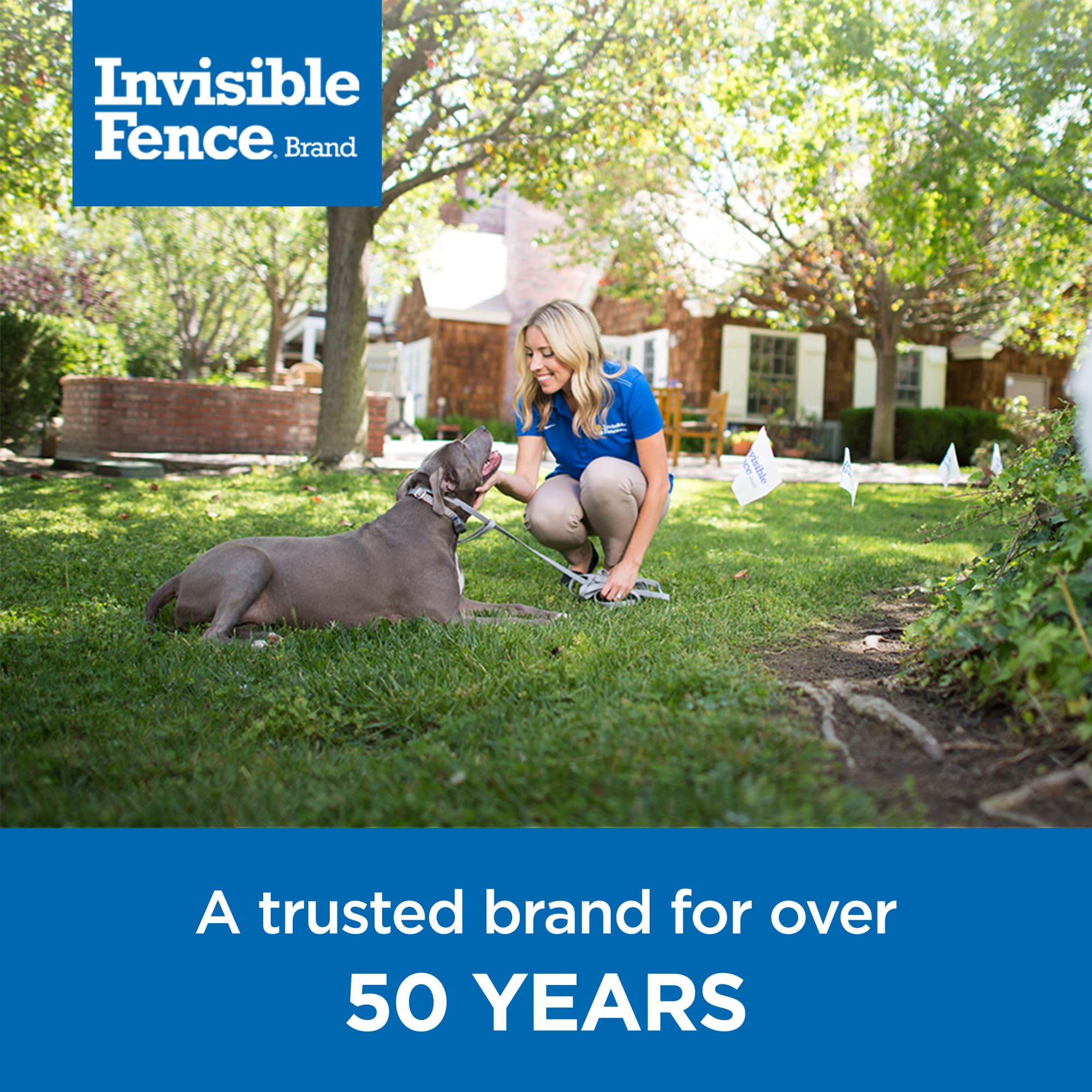 Invisible Fence Power Cap Battery - Original Replacement for Dog Collars - Long-Lasting 2 Pack - Model RAC00-17868 - Grey