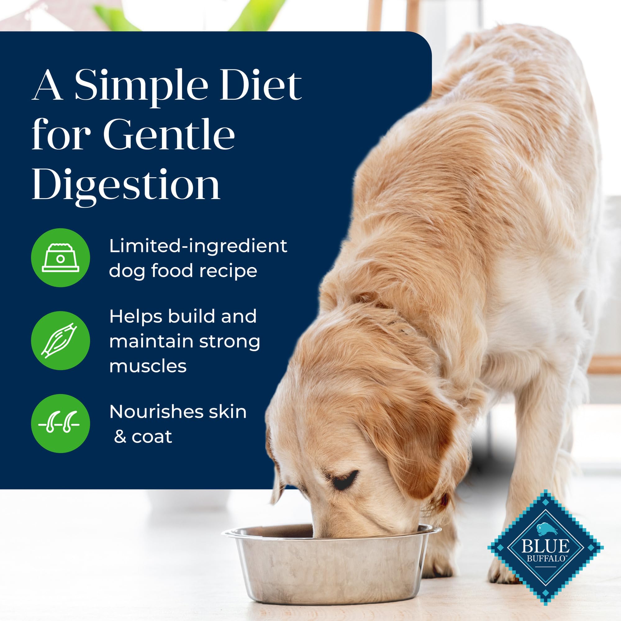 Blue Buffalo Basics Grain-Free Dry Dog Food for Adult Dogs, Limited Ingredient Diet, Lamb Recipe, 22-lb. Bag