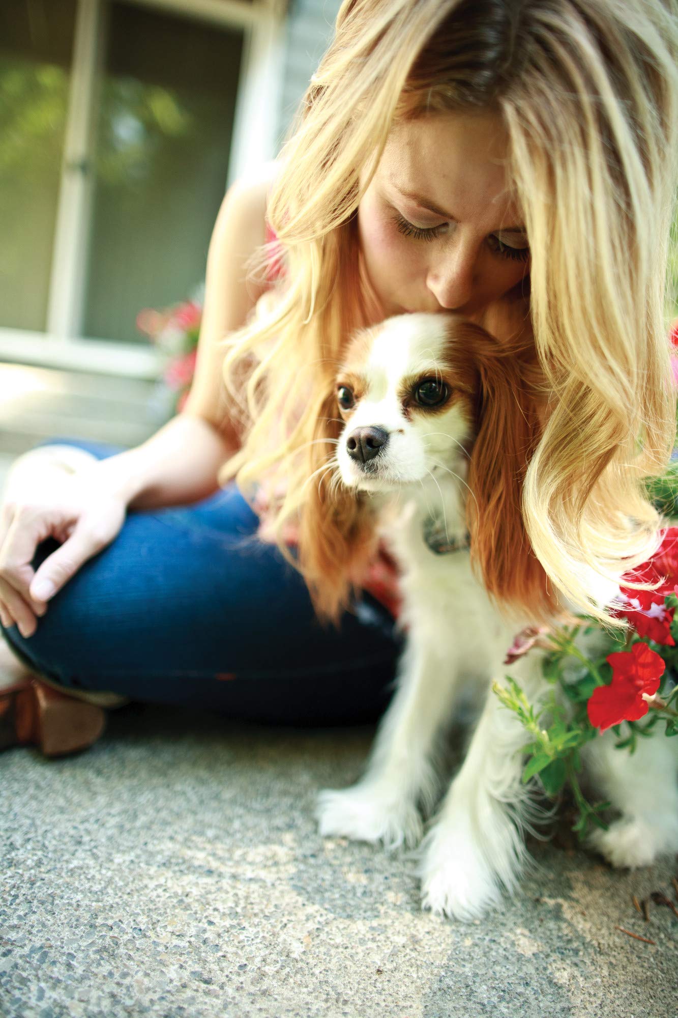 Petsafe Elite Little Dog In-Ground Pet Fence Receiver Collar - For Dogs Over 5 Lb - Waterproof With Tone And Static Stimulation