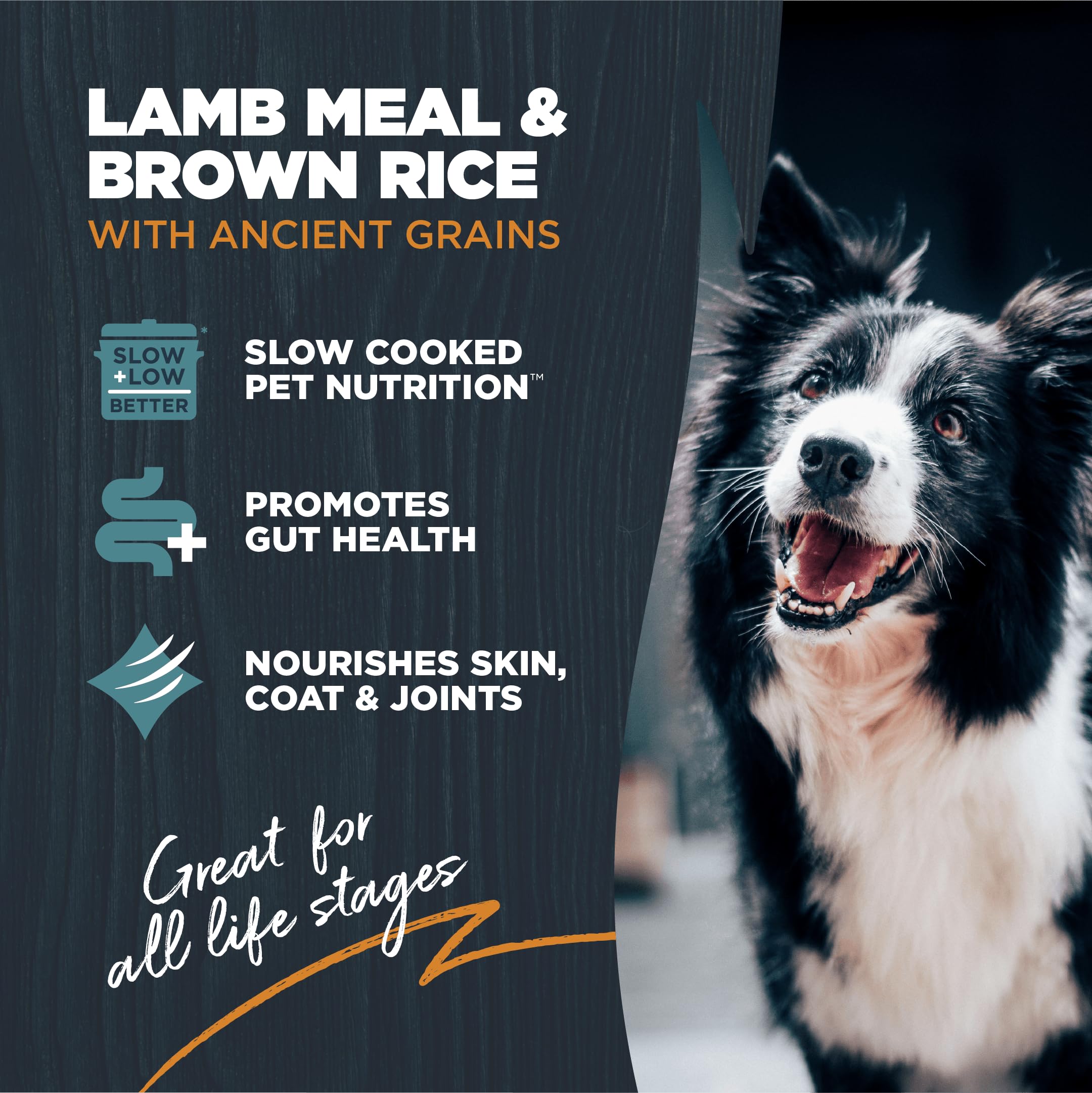 Blackwood Sensitive Skin & Stomach Dry Dog Food, Lamb Meal & Brown Rice with Ancient Grains, 24 Pound Bag with Prebiotics & Prob