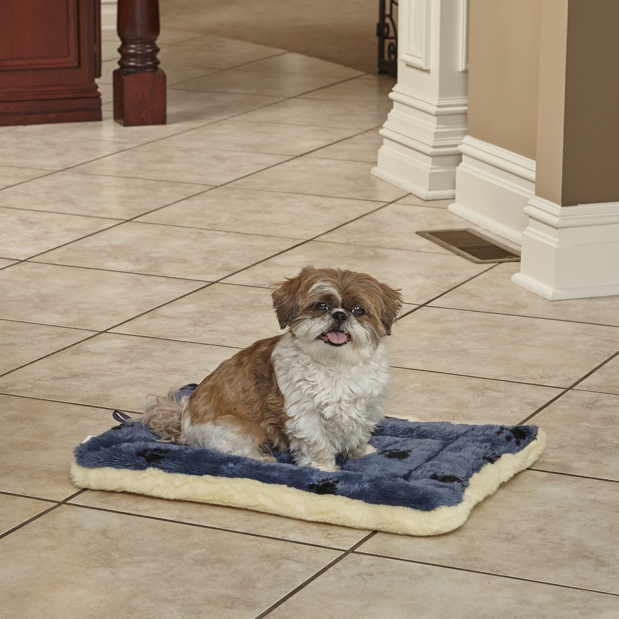 Midwest Homes For Pets Reversible Paw Print Pet Bed In Blue / White, Dog Bed Measures 21L X 12W X 2.5H For X-Small Dogs, Machine Wash