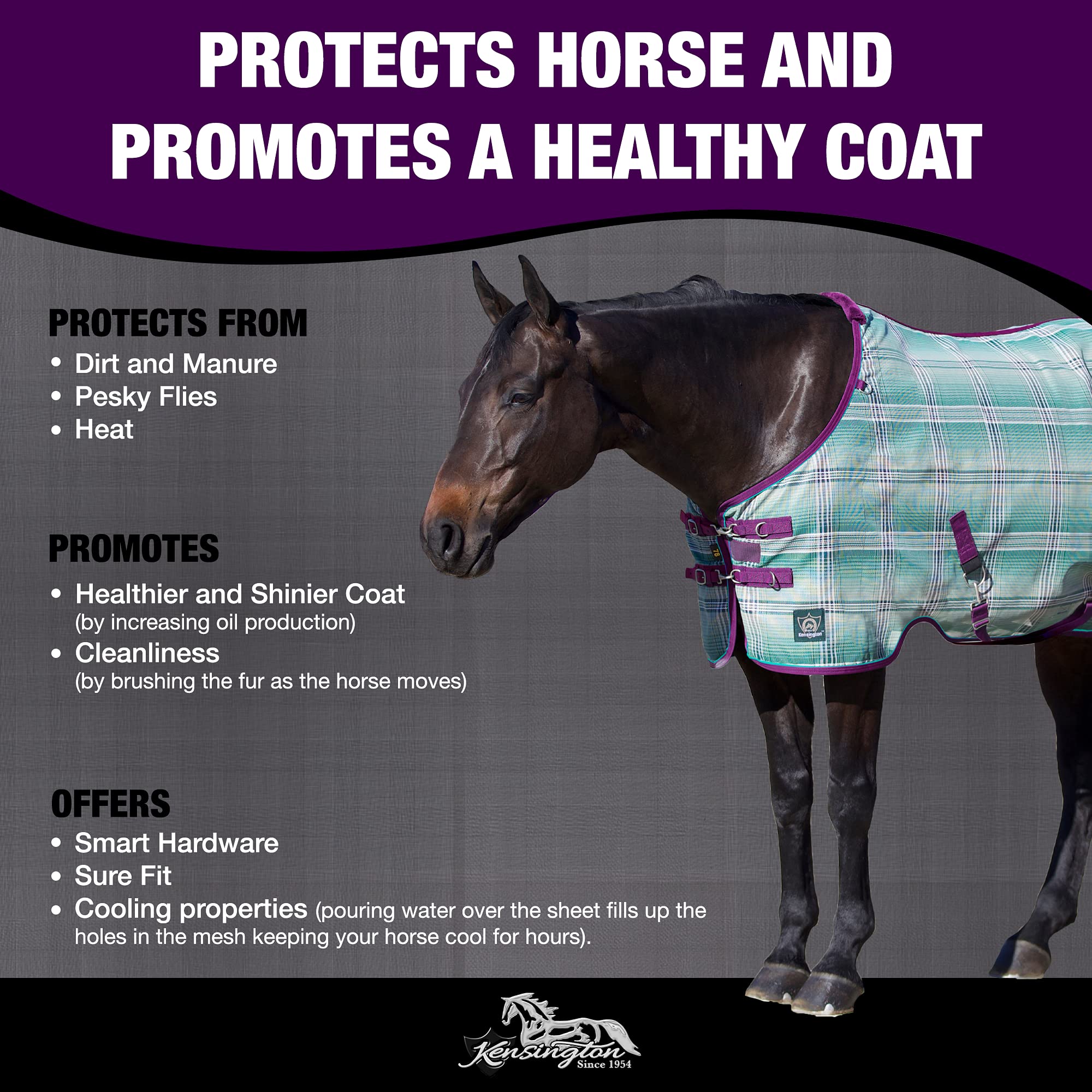 Kensington Breathable And Uv Protective Sheet Surefit All Season Protection For Horse - 72'', Imperial Jade