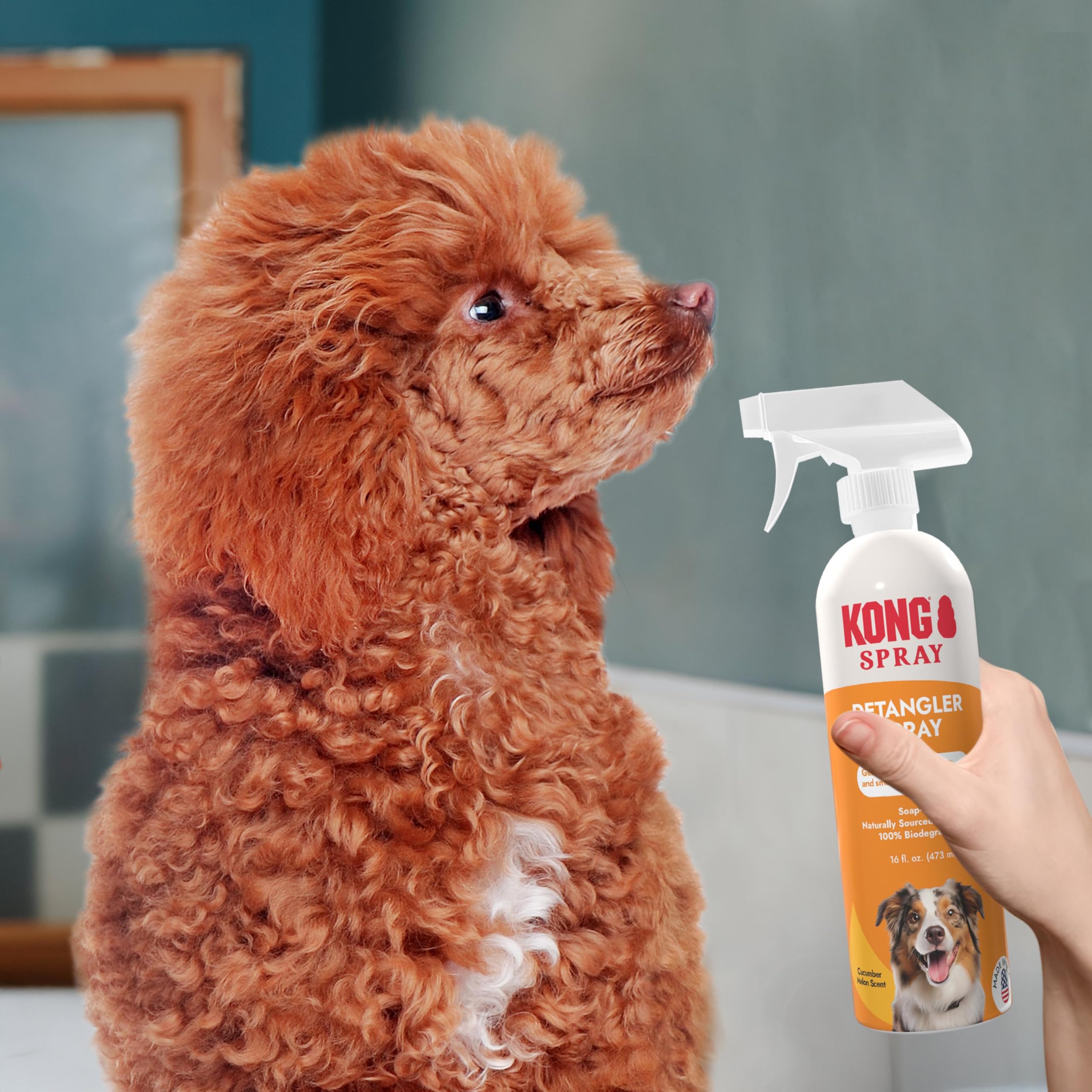 Kong Detangler Spray for Dogs - Cucumber Melon Scent, 16 fl oz - Loosens Knots, Softens & Smooths Coats, Biodegradable, Alcohol-