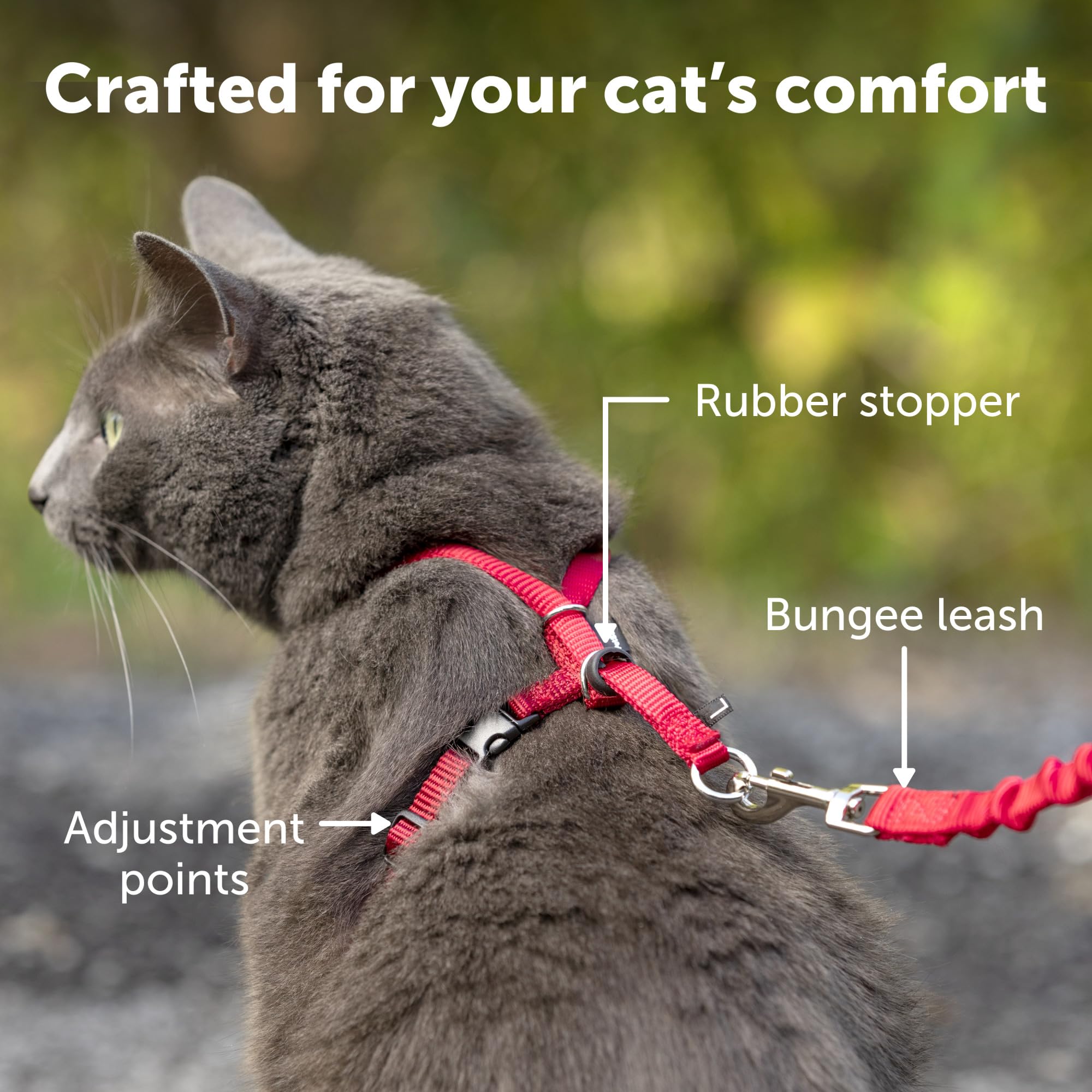 Petsafe Come With Me Kitty Harness And Bungee Leash, Medium, Black