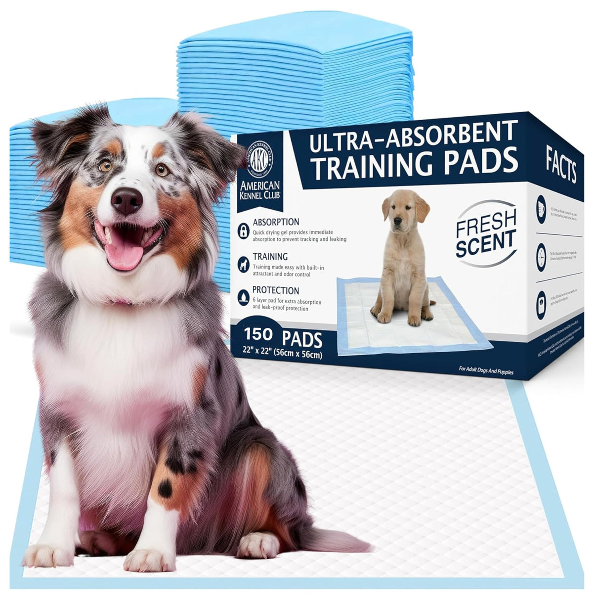 Ultra Absorbent Odor Control Scented Training Pads For Dogs Leak-Proof Quick Dry Gel – 22 X 22 Puppy Pads - Fresh Scented - Pack Of 150