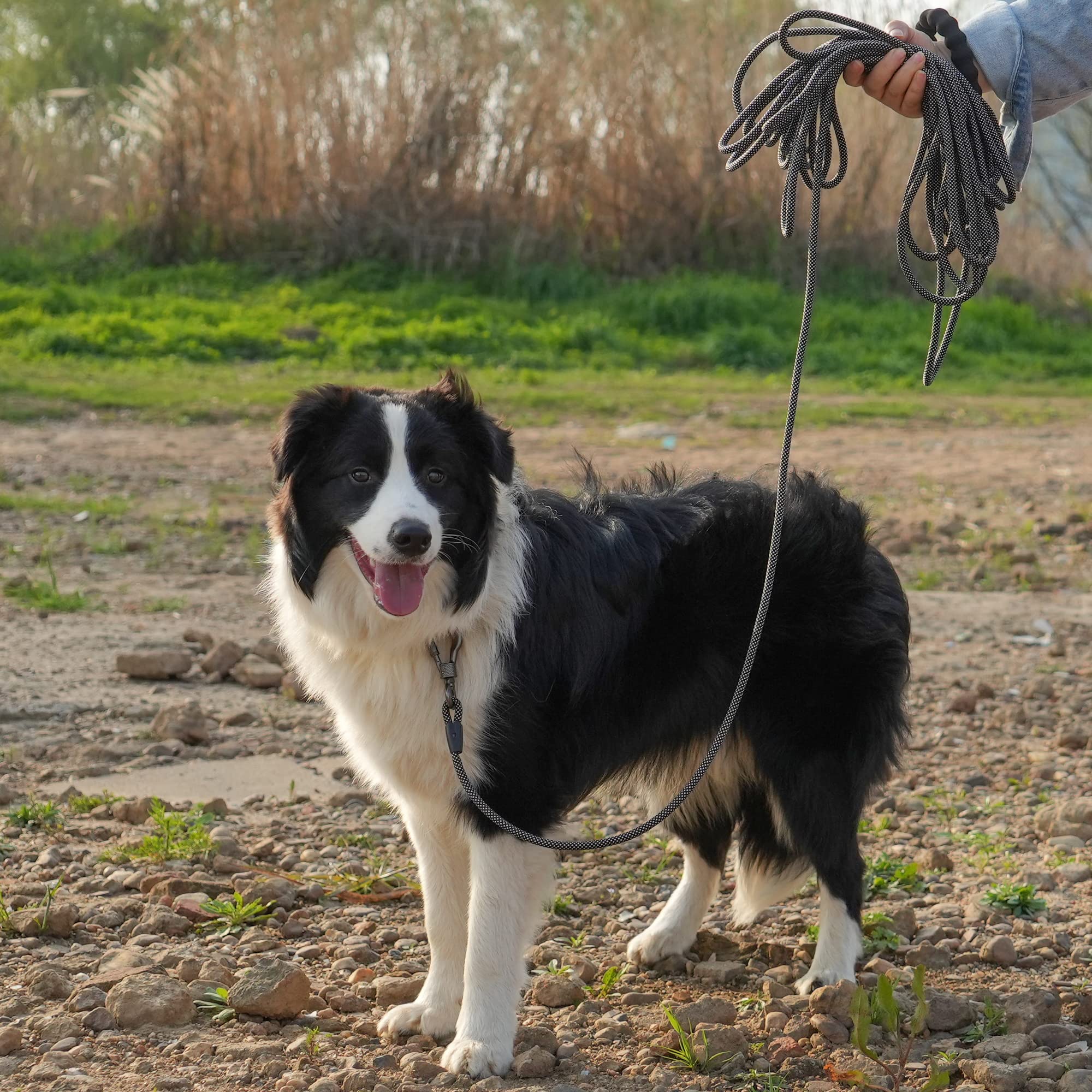 Ntr Heavy Duty Dog Leash,8Ft Rope Leash For Dog Training With Swivel Lockable Hook,Reflective Threads And Comfortable Handle,Dog Lead For Walking,Hunting,Camping For Medium And Large Dog (Black)