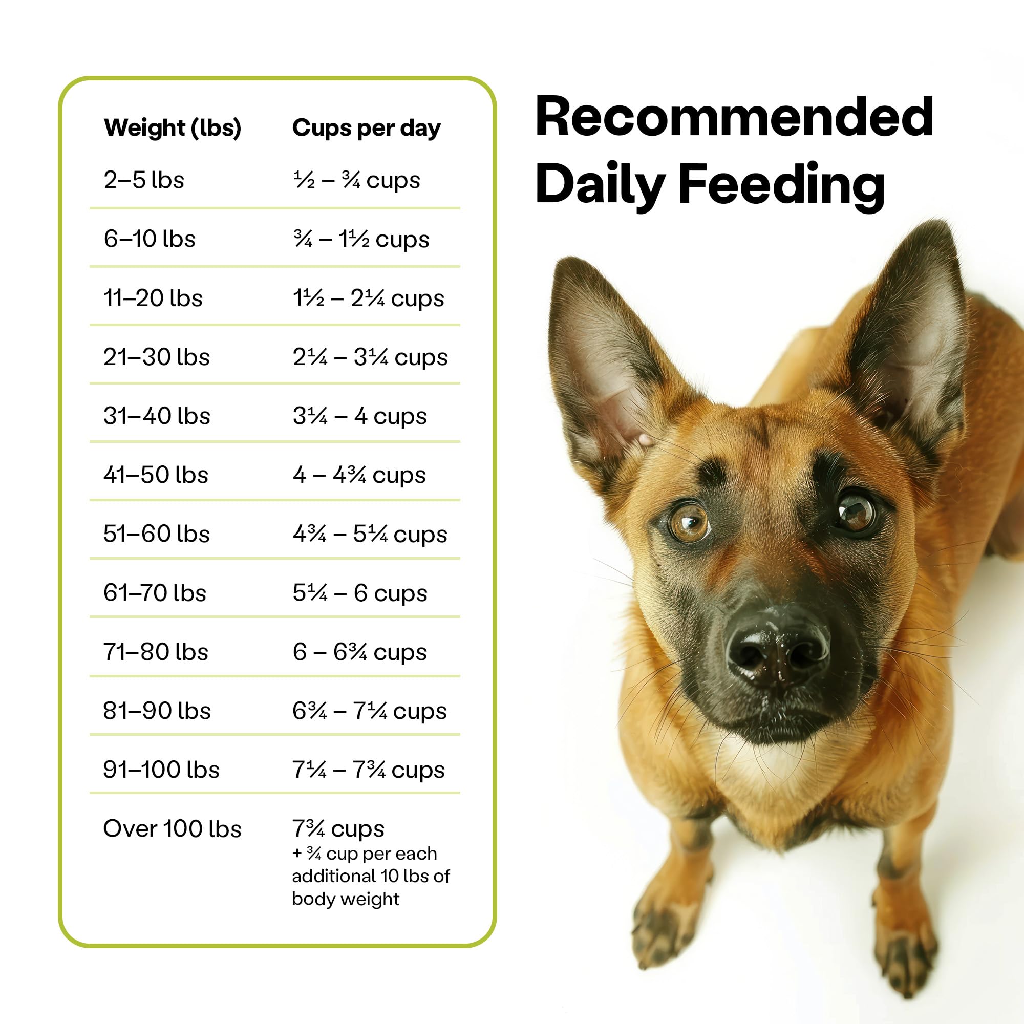 Wild Earth Vegan Dry Dog Food Performance Formula | Plant-Based Vegetarian Kibble | Wheat-Free, Allergen-Free, Veterinarian-Deve