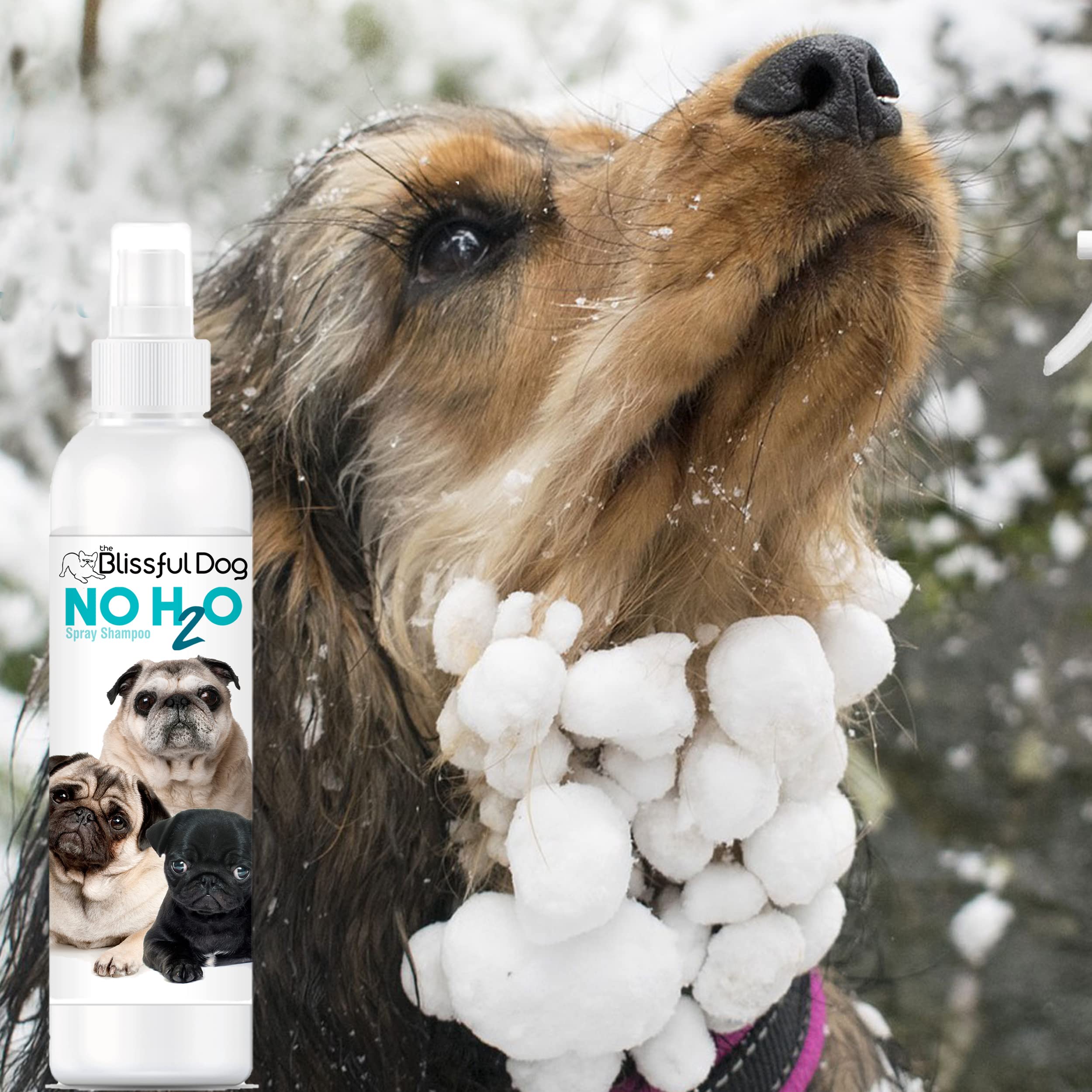 The Blissful Dog No H2O Waterless Pet Shampoo, 4 oz.