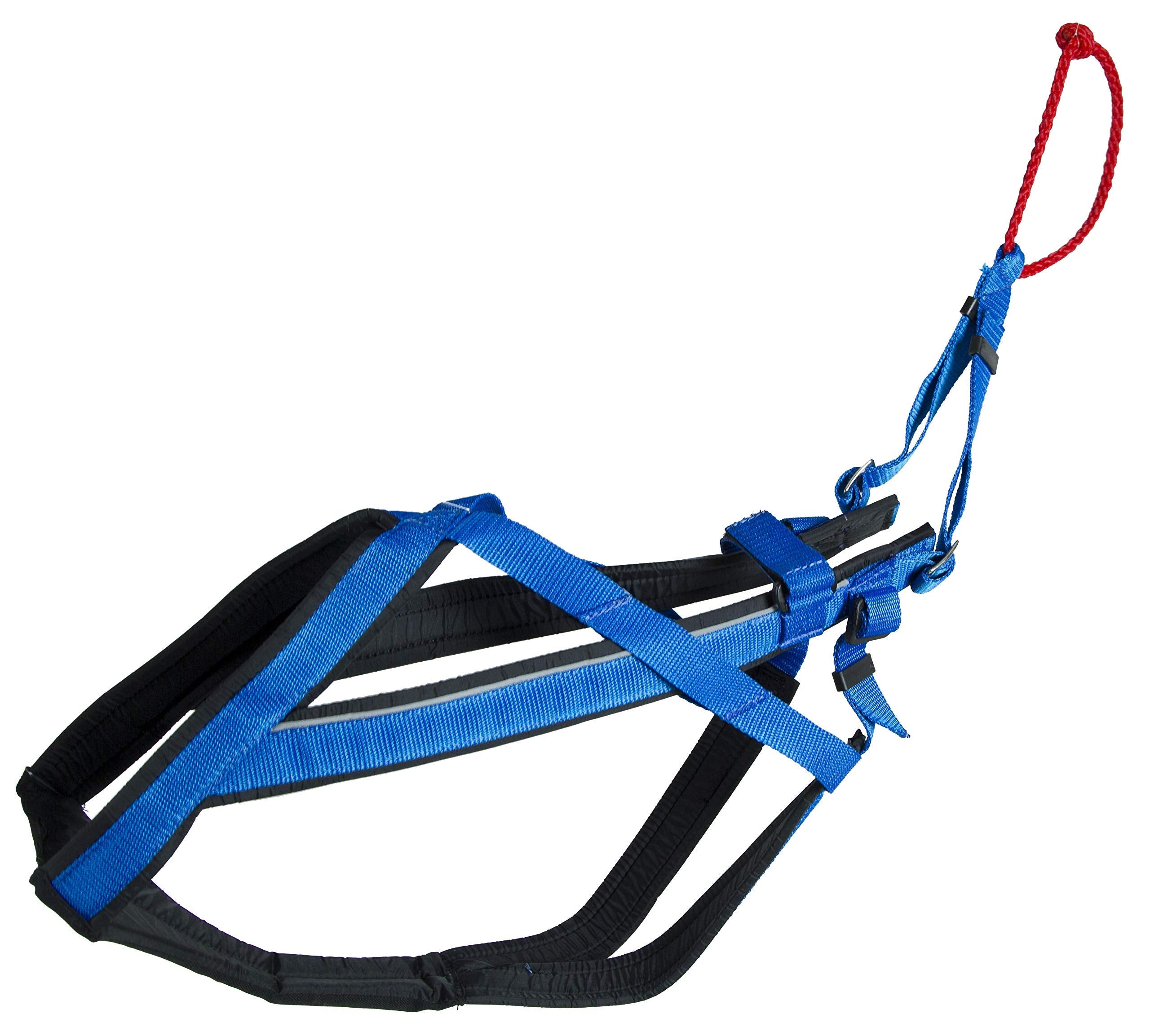 Neewa Adjustable Racing Harness (Small, Blue) - Ideal For Dog Pull With Bike, Skateboard, Rollerblade, Cart, Canicross