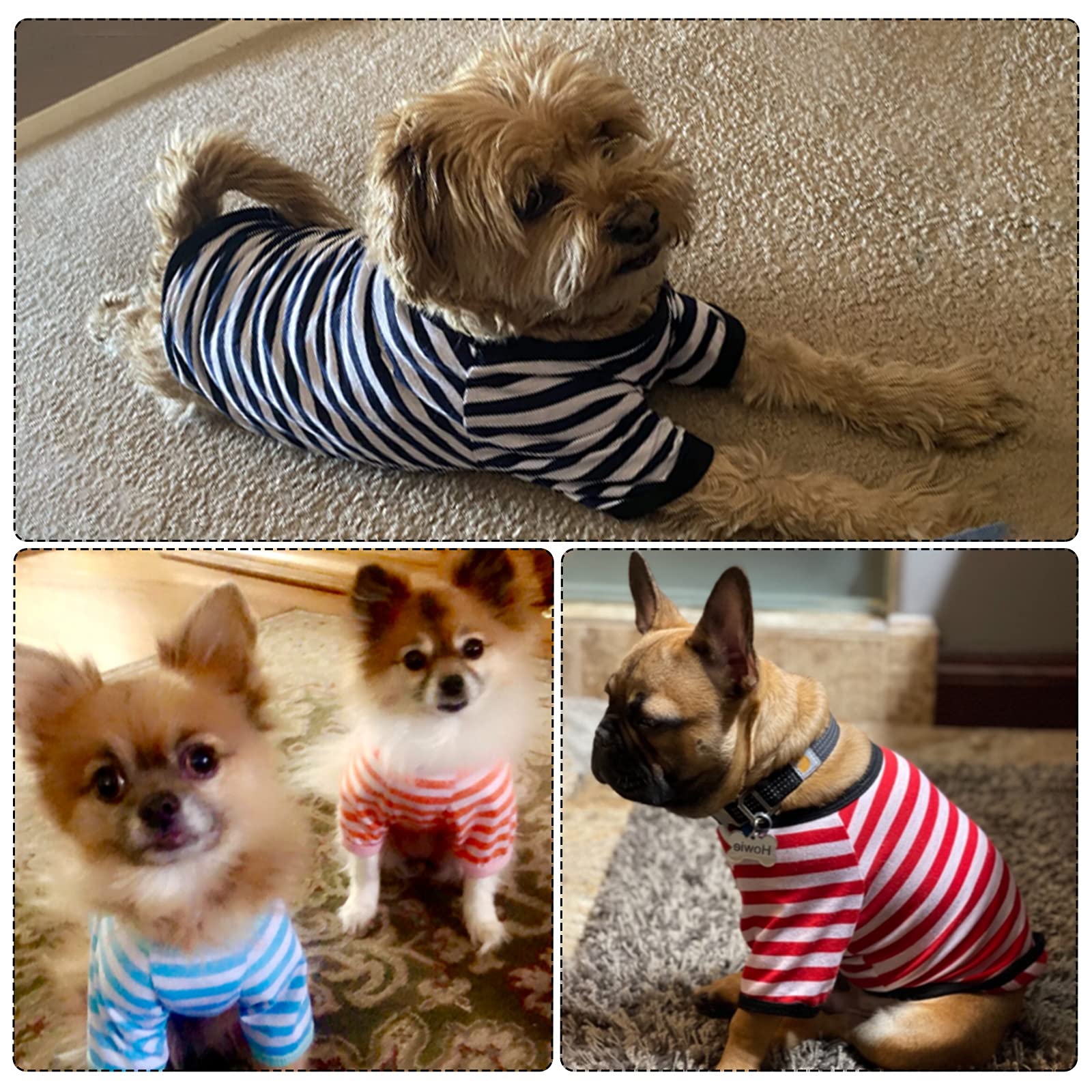6 Pieces Dog Striped T-Shirt Dog Shirt Breathable Pet Apparel Colorful Puppy Sweatshirt Dog Clothes For Small To Medium Dogs Puppy (M)