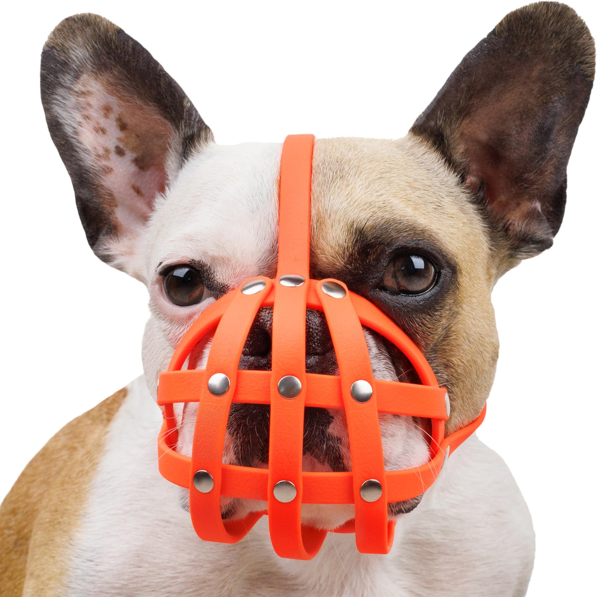 Bronzedog French Bulldog Muzzle Short Snout Dog Mask Prevent Biting For Small Dogs (Orange)