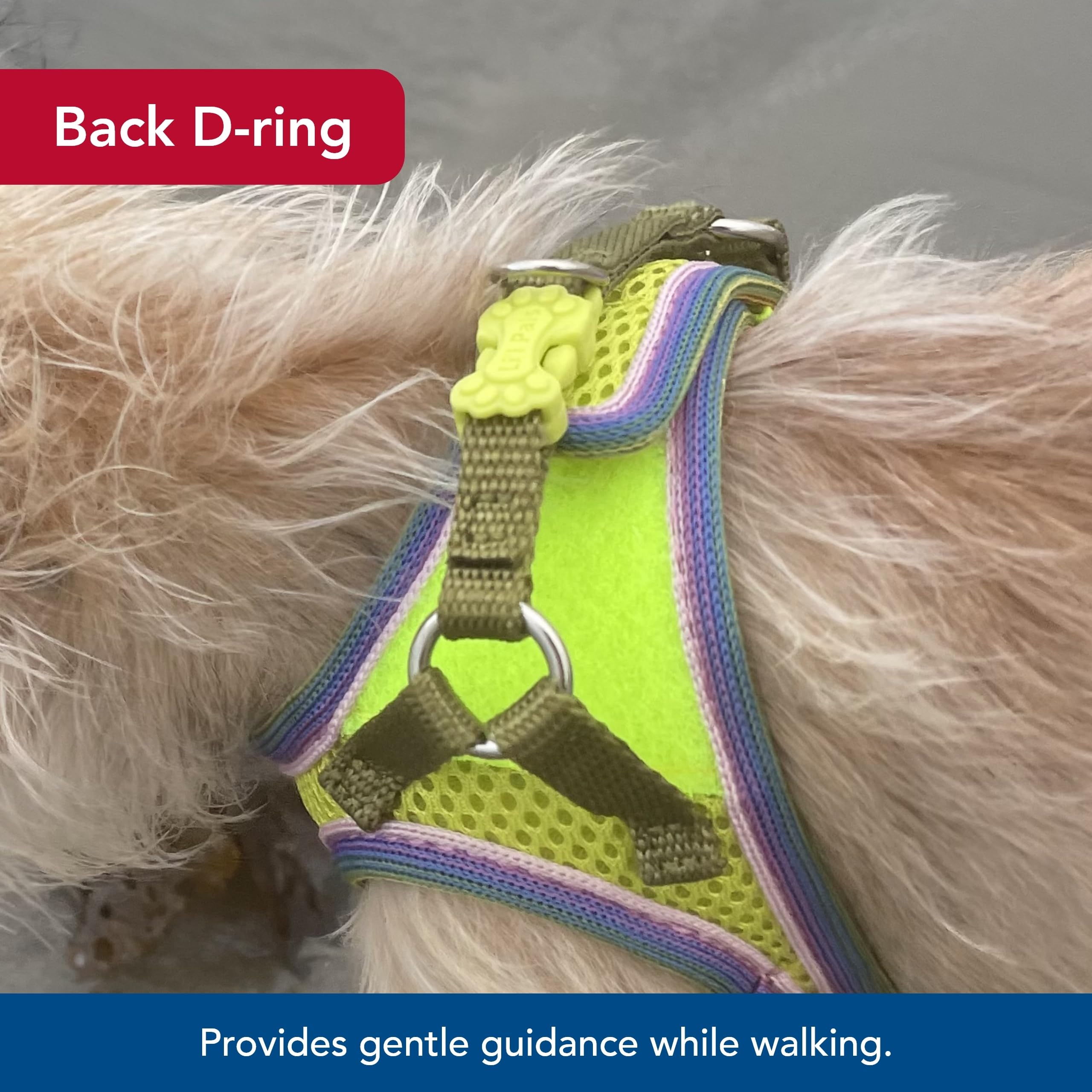 Coastal Pet Li'L Pals Comfort Mesh Dog Harness - No-Pull Step-In Dog Harness For Small Dogs & Puppies - Dog Cooling Vest - Lime - 3/8' X 10'-12'