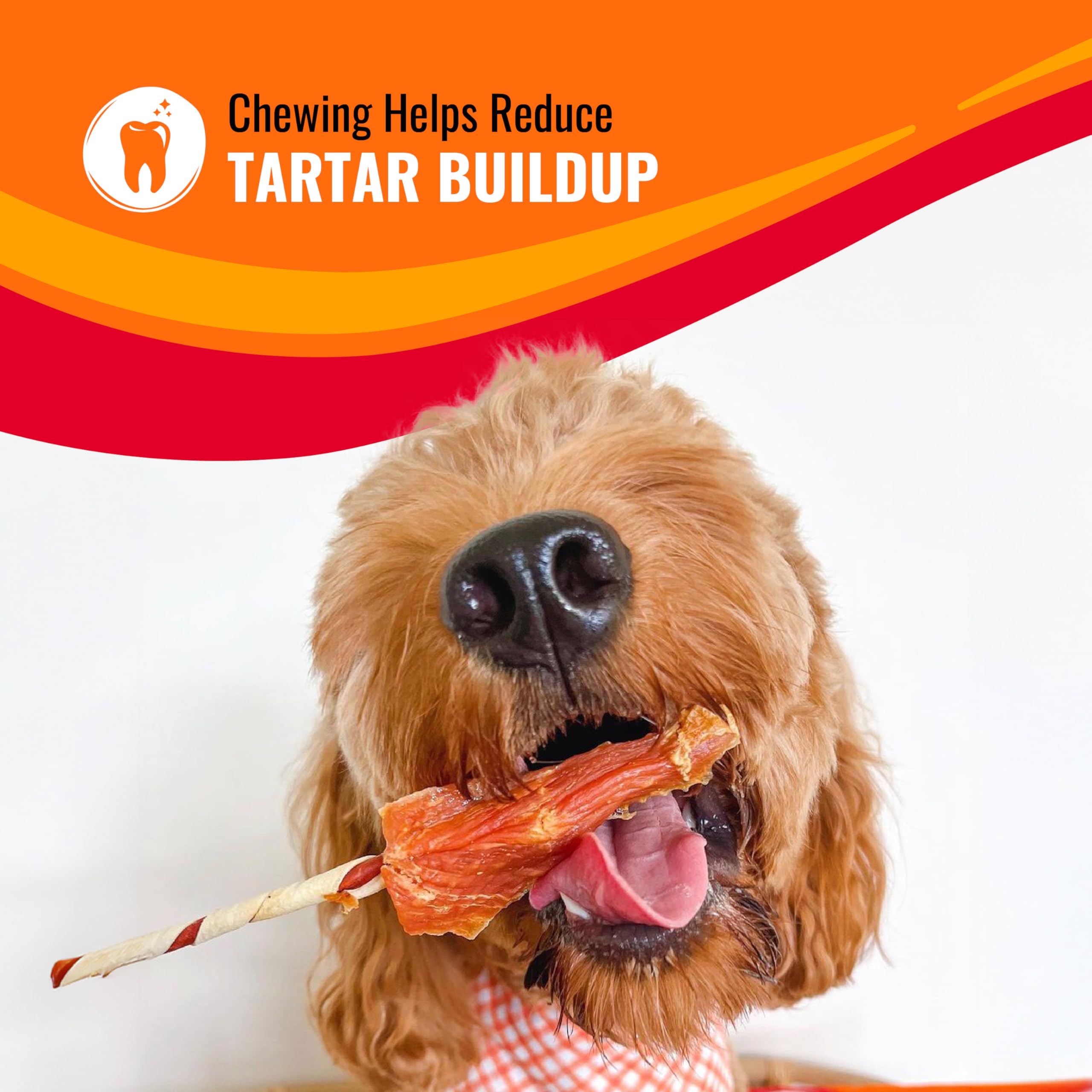 Good n Fun Triple Flavor Kabobs Chews for All Dogs, Treat Your Dog to Chews Made from Beef Hide, Real Chicken, Pork Hide, Duck a