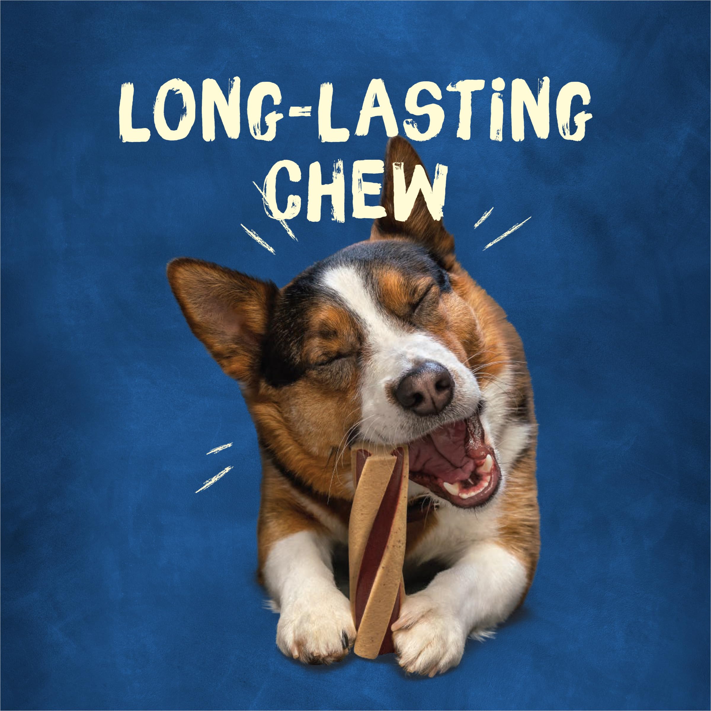 Purina Busy with Beggin Twistd Mini Adult Dog Chew Bone Treats - 12 ct. Pouch