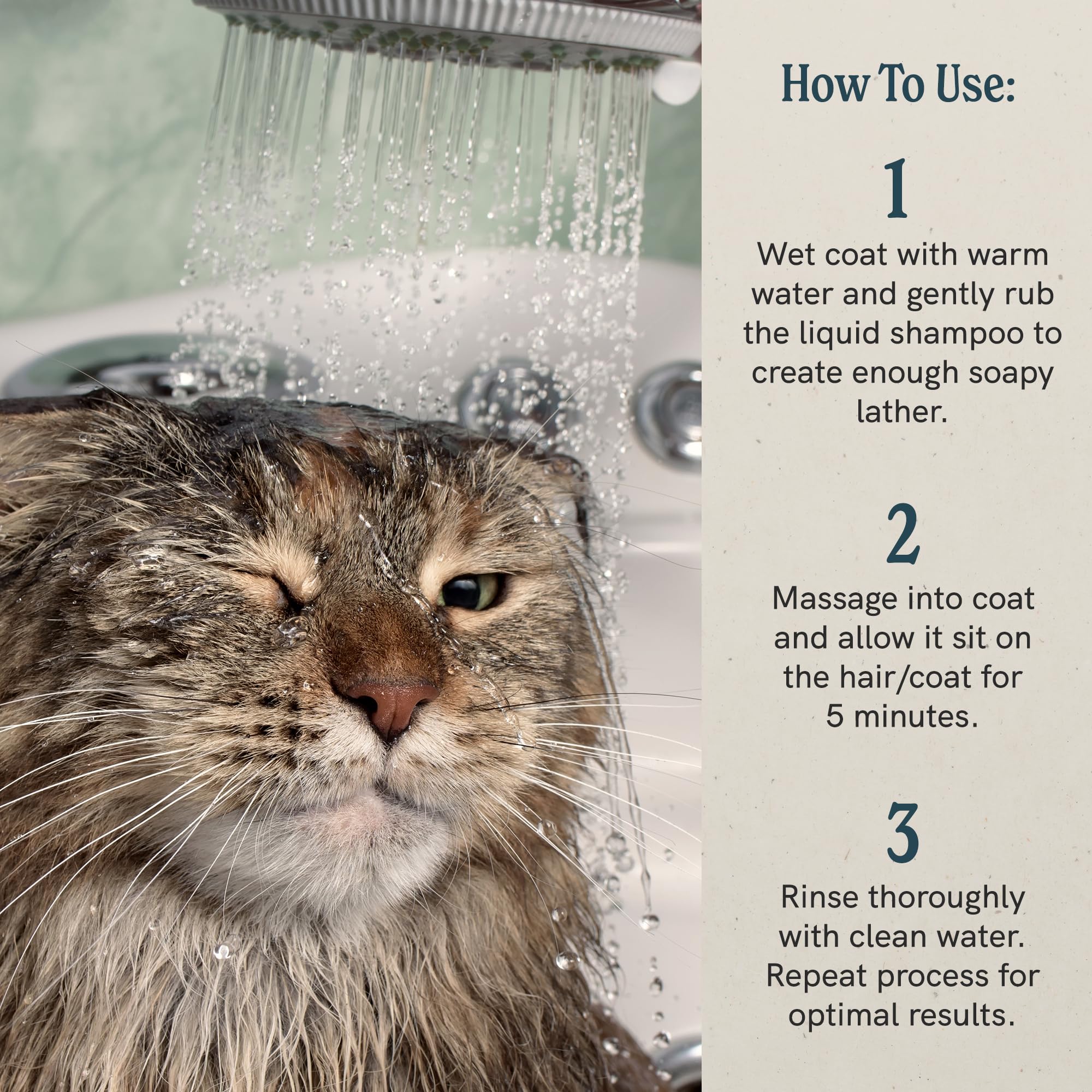 JRLIGGETTS Cat Liquid Shampoo Great for Sensitive Skin | Relieves Dry, Itchy Skin | Hypoallergenic Formula | 100% Detergent-Fre