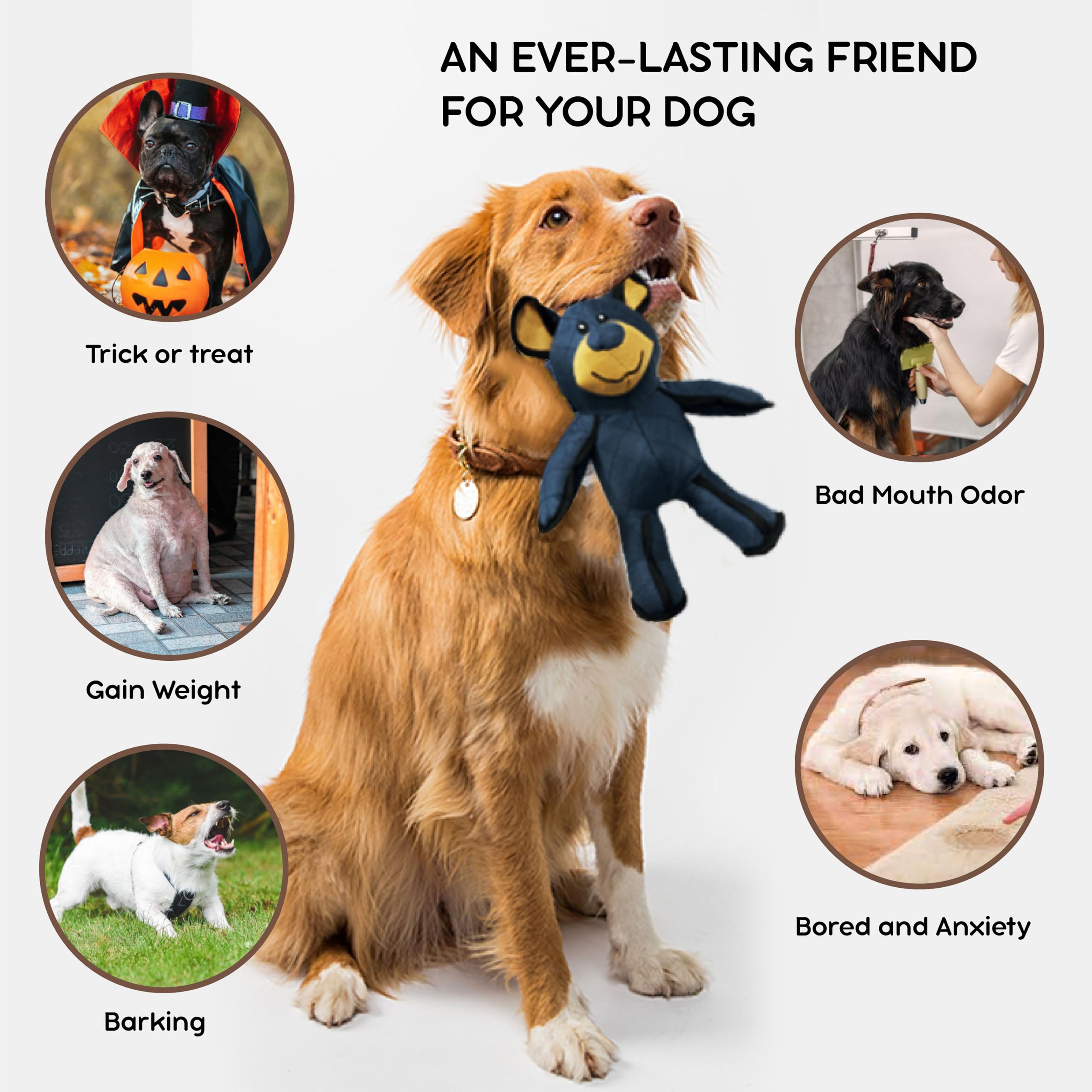 Generic Durable Interactive Bear Dog Toy - Tough Chew Toy with Squeaker for Small & Large Dogs and Cats, Blue, Model 232