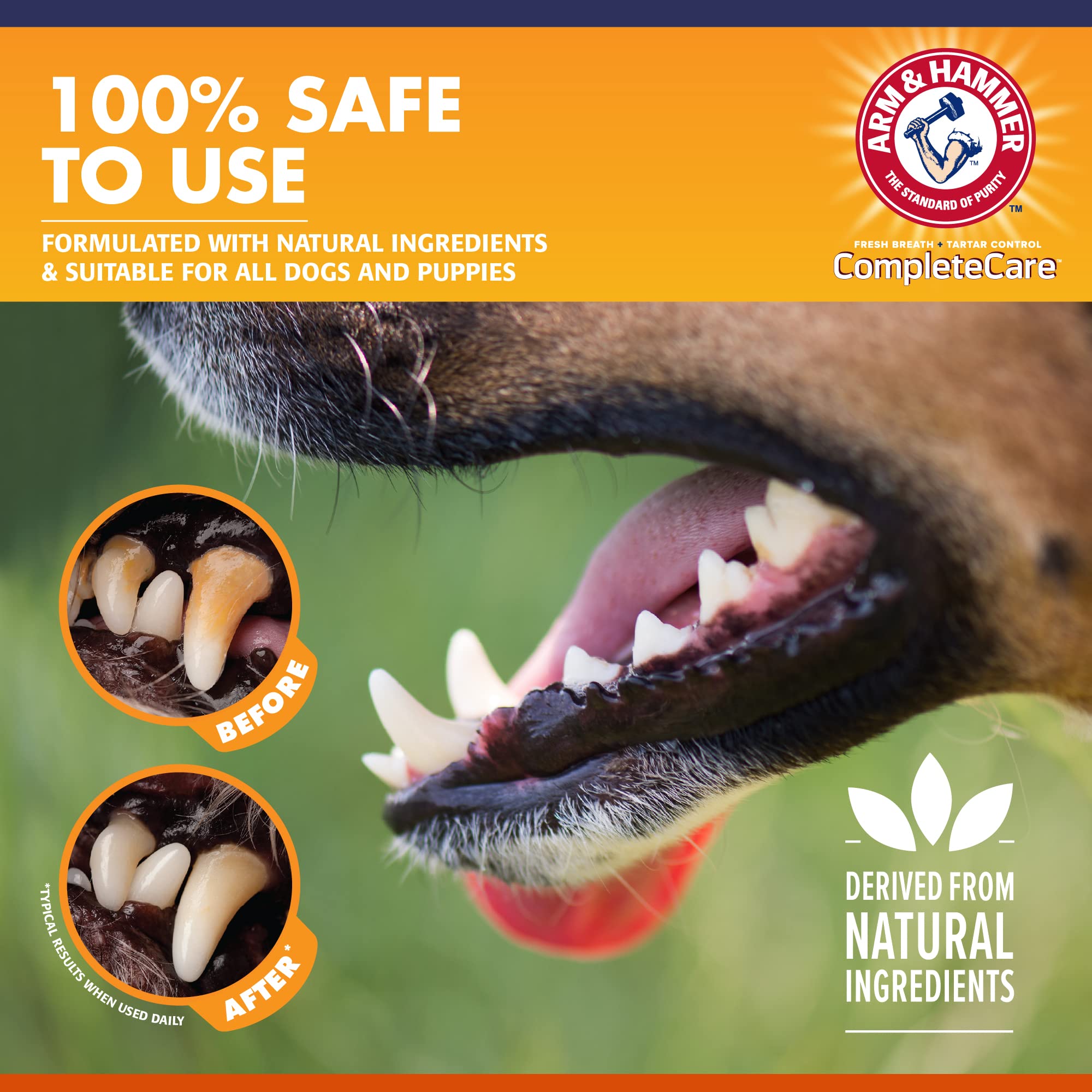 Arm & Hammer Complete Care Enzymatic Dog Toothpaste, 6.2 oz - Dog Toothpaste for Puppies and Adult Dogs, Toothpaste for Dogs - P