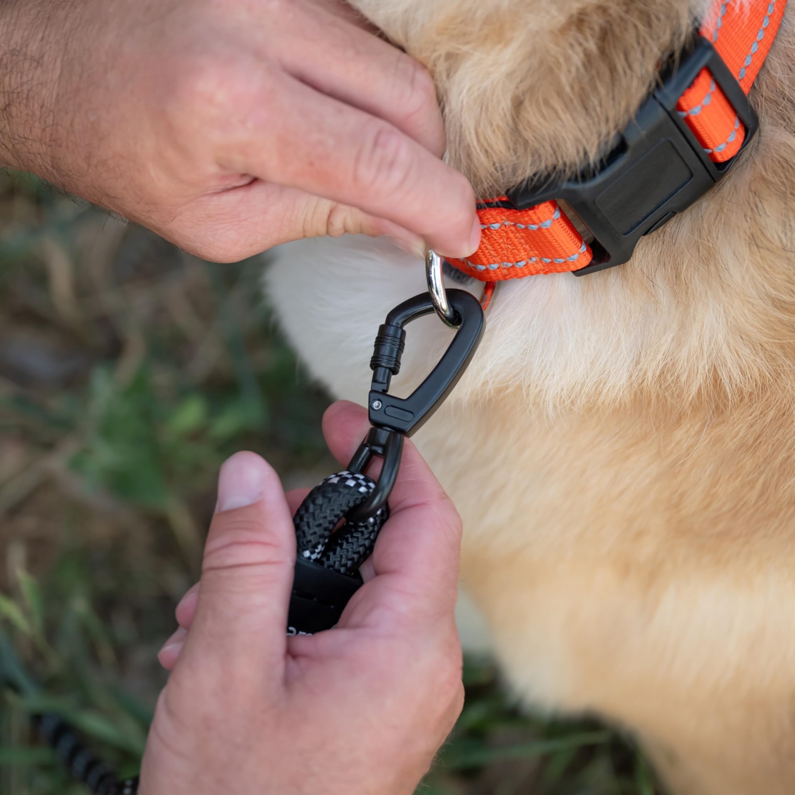 6 Foot Dog Leash, Two Extra Padded Handles, Heavy Duty Dog Leash For Medium To Large Pets, Highly Reflective, Shock-Absorbing No Pull Rope Lead, Durable For Walking, Running, Training Lead - Roam Gear