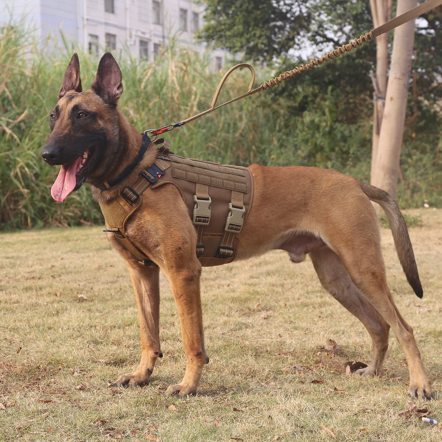 Icefang Reflective Tactical Dog Harness With 6X Buckles For X-Large Sized Dogs,Walking Training Work Dog Molle Vest With Handle,