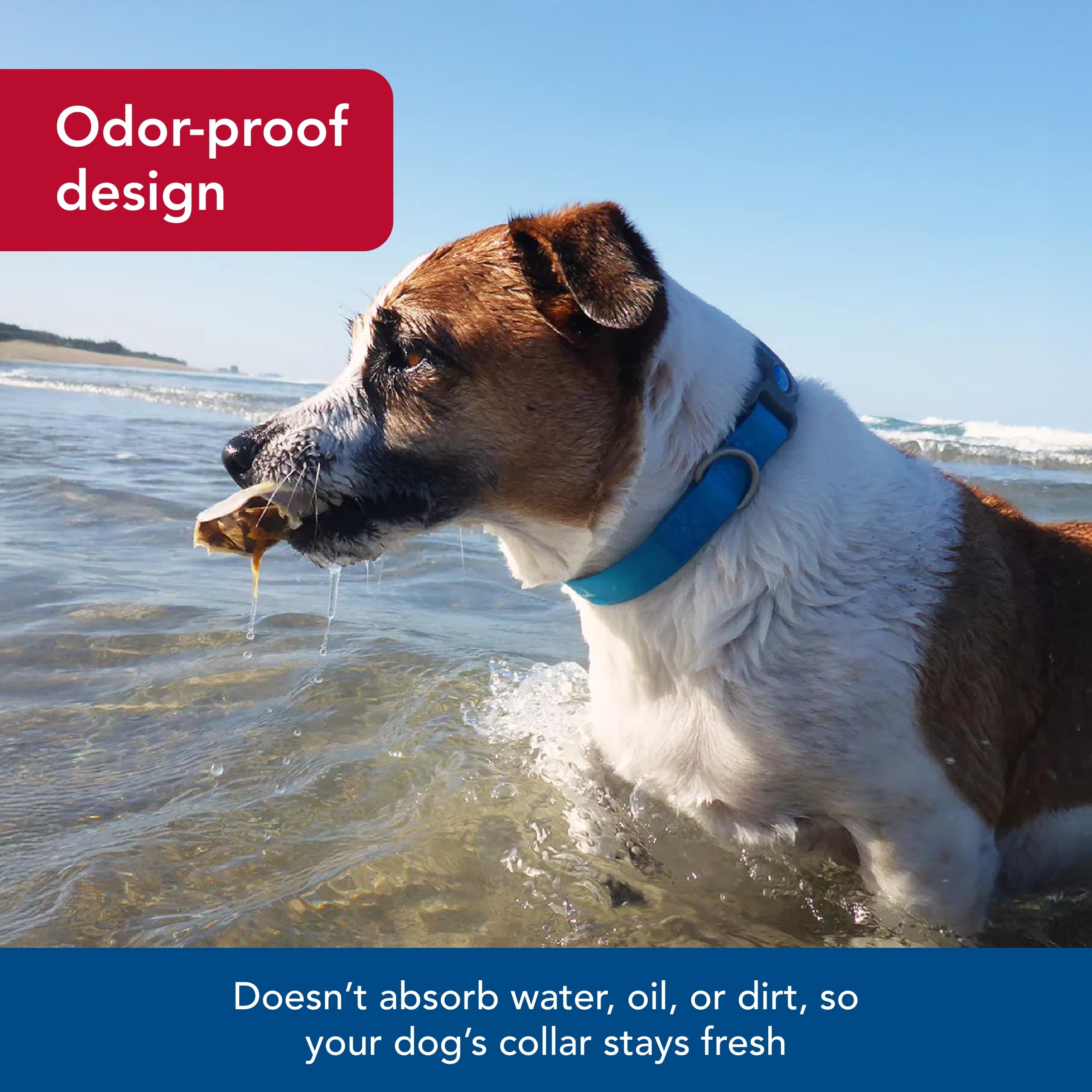 Coastal Pet - Pro Adjustable Waterproof Dog Collar With Waterproof Coated Webbing - Fuschia - 3/4    X 10''-14