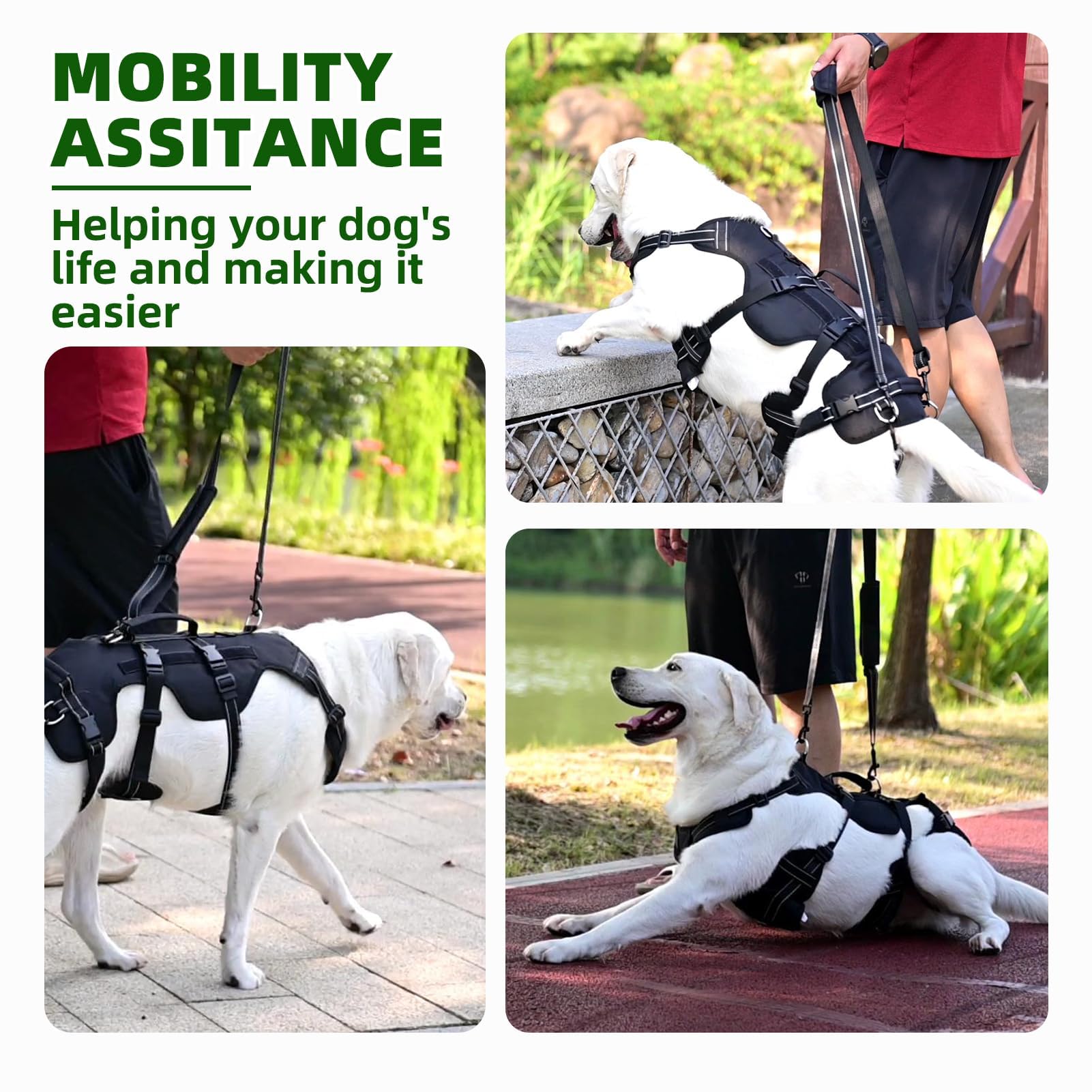 Pupteck Dog Lift Harness For Medium Large Sized Dog, Rehabilitation Sling For Hind Leg Support, Multifunctional Mobility Assista