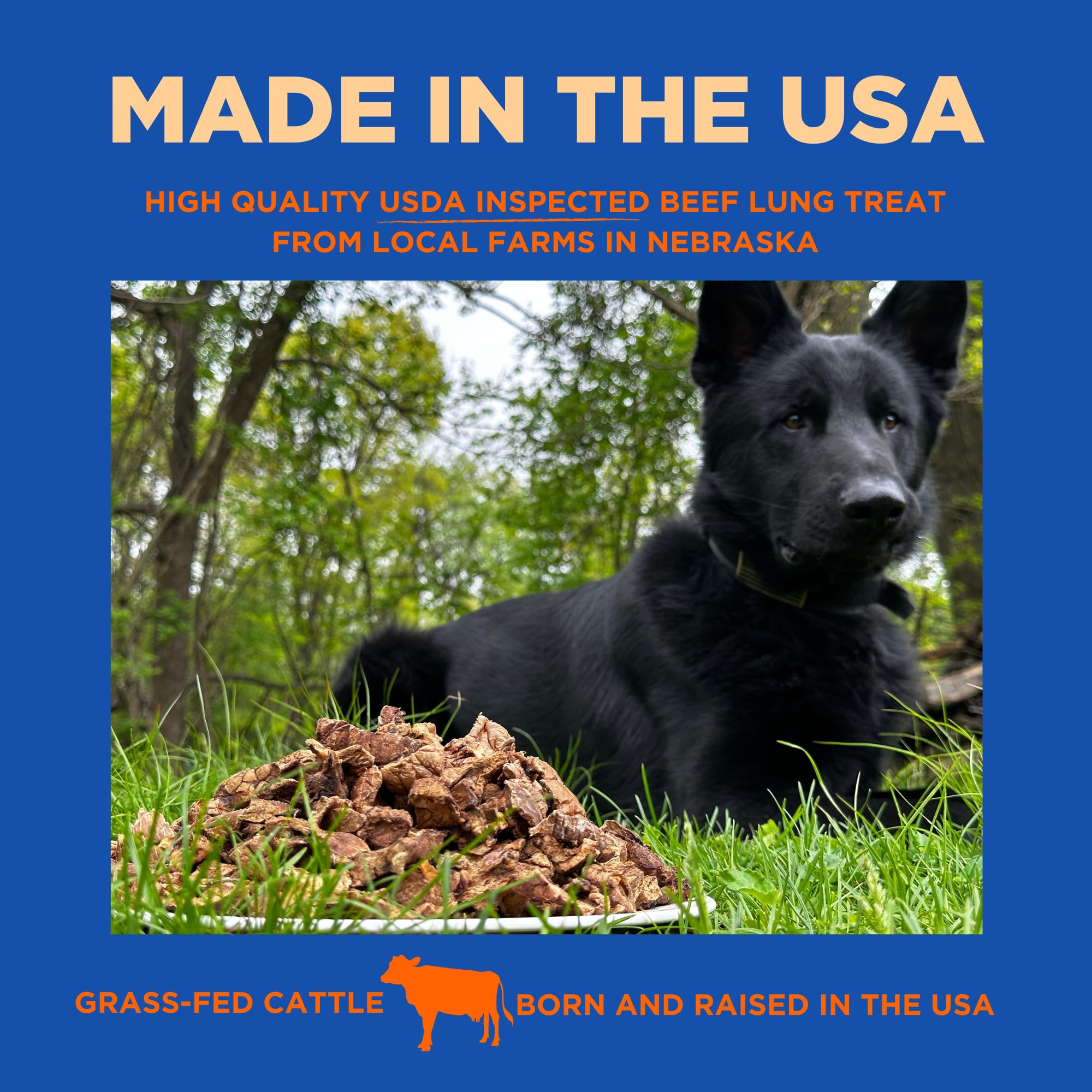 PAWW CHEW Beef Lung Dog Treats, 100% Natural, Single Ingredient, (1 Pound) Made in The USA, Dried & Dehydrated, High Protein, Hi