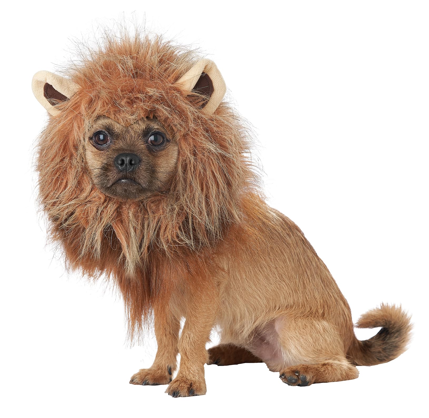 California Costumes Pet KING OF THE JUNGLE Dog Costumes, Brown, XS US